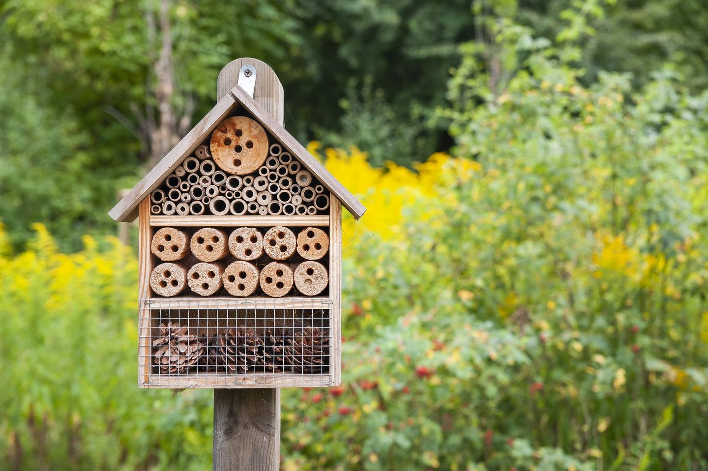 Holz-Insektenhotel mit verschiedenen Hohlräumen für Wildbienen und andere Insekten