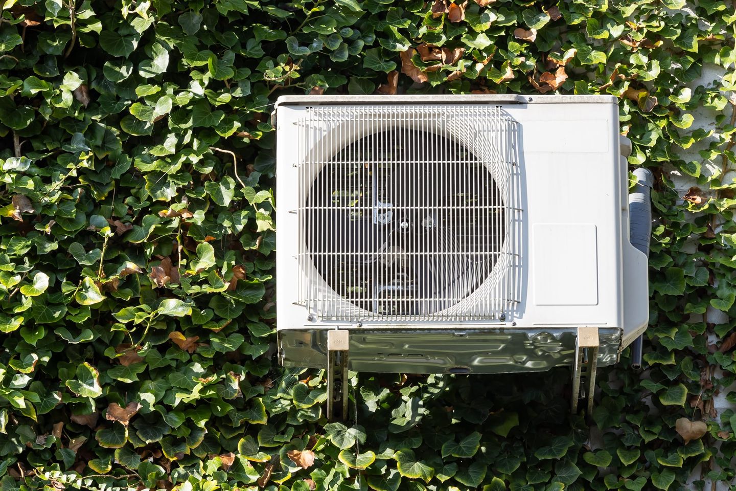 Außeneinheit einer Klimaanlage, montiert an einer mit Efeu bewachsenen Hauswand, im Sonnenlicht.