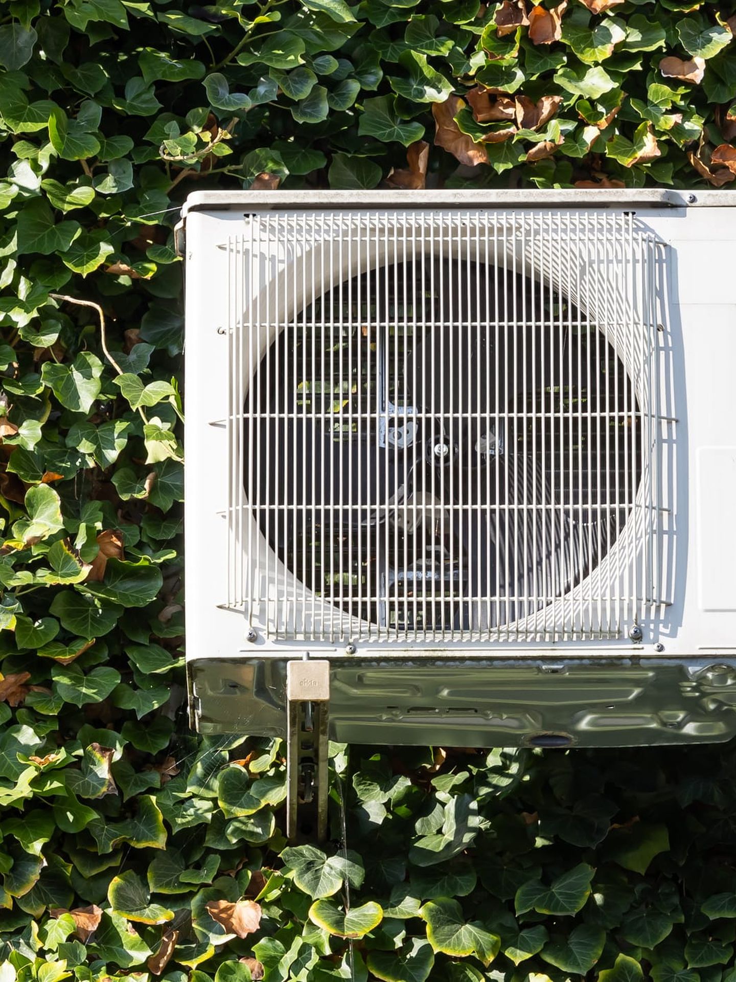 Außeneinheit einer Klimaanlage, montiert an einer mit Efeu bewachsenen Hauswand, im Sonnenlicht.