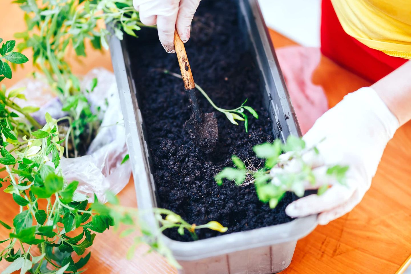 Pflanze wird mit kleinem Spaten in Blumenkasten gesetzt Getty