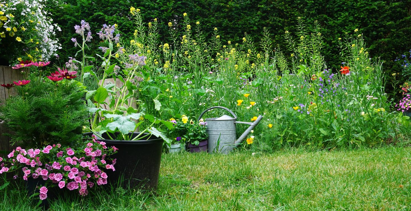 Bunter Garten mit Wildblumen, Gemüse und einer Gießkanne im Vordergrund