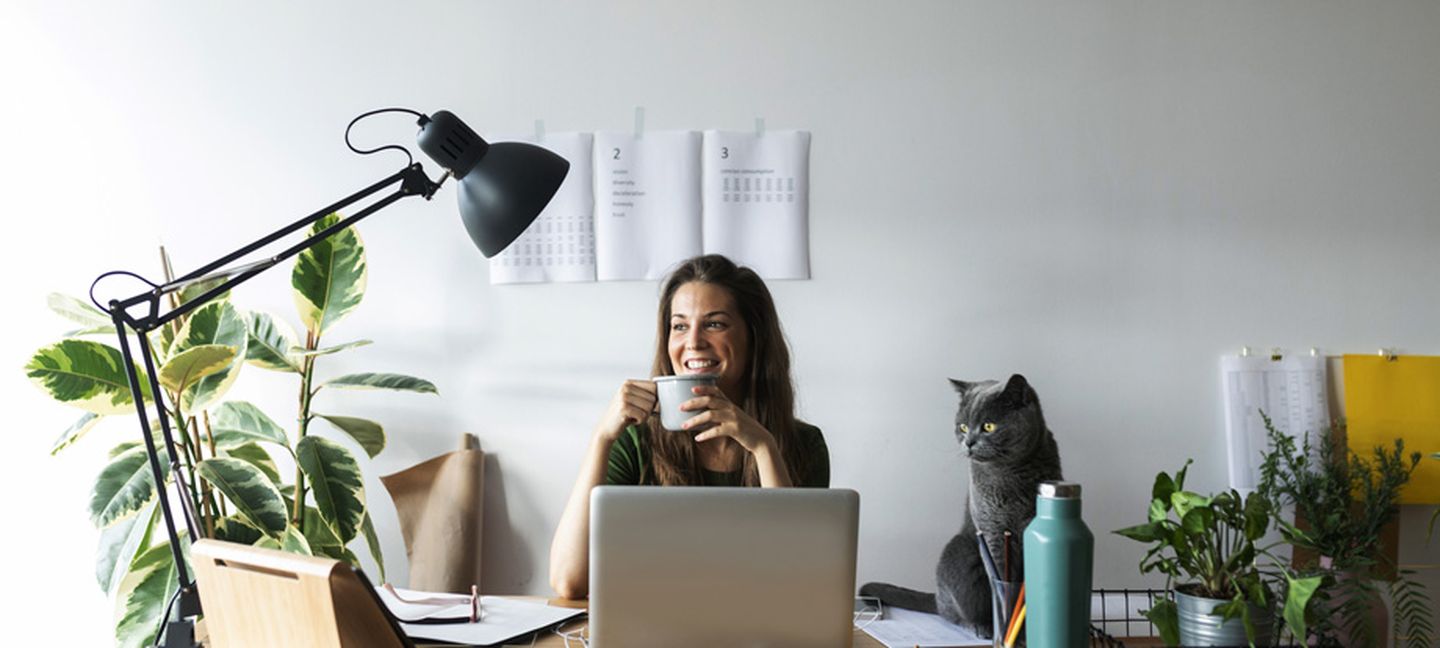 Eine Frau und ihre Katze im Homeoffice.