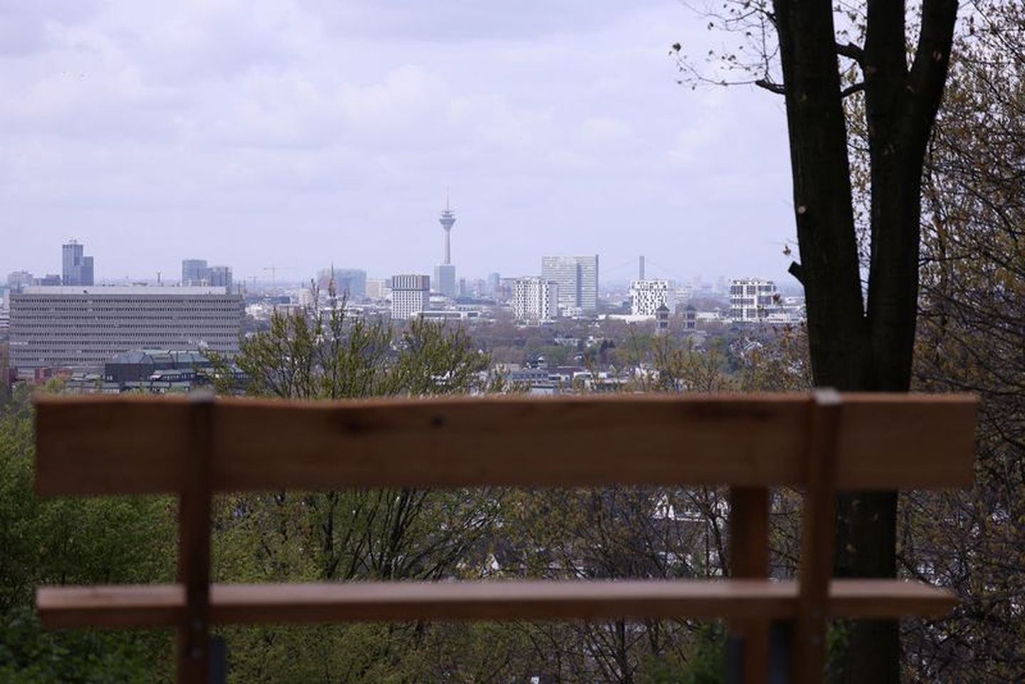 Eine Bank im Grafenberger Wald mit guter Aussicht auf die Stadt und den Rheinturm in der Ferne. © Young via Landeshauptstadt Düsseldorf © Young via Landeshauptstadt Düsseldorf