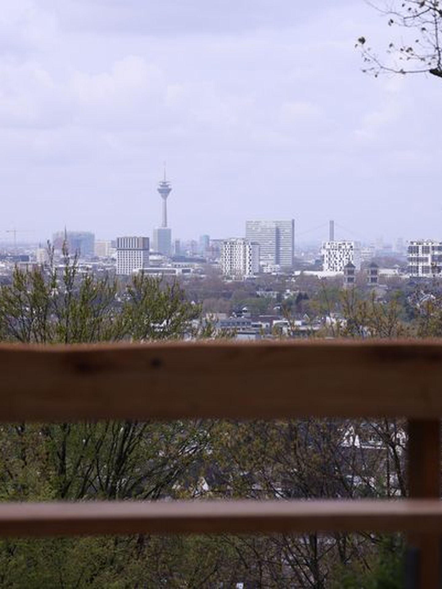Eine Bank im Grafenberger Wald mit guter Aussicht auf die Stadt und den Rheinturm in der Ferne. © Young via Landeshauptstadt Düsseldorf © Young via Landeshauptstadt Düsseldorf