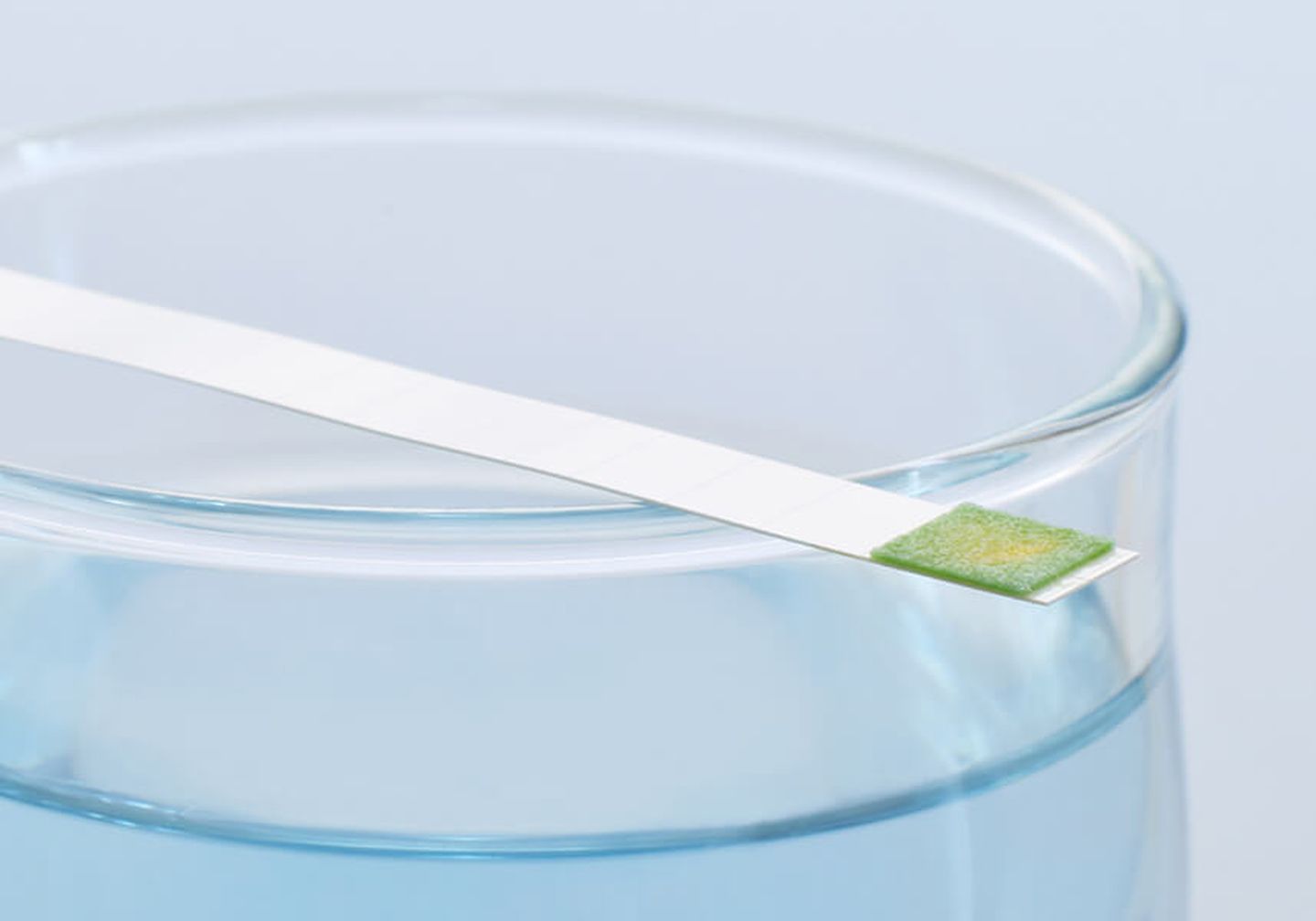 Ein Wasserglas mit einem Stäbchen zur Messung der Wasserhärte