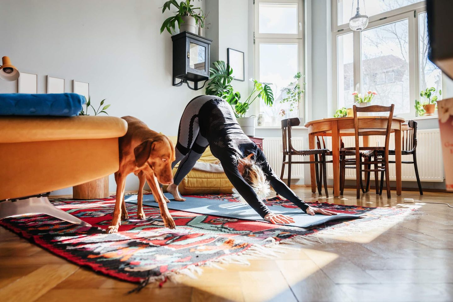 Frau macht Yoga-Übung im Wohnzimmer mit Hund neben sich Getty