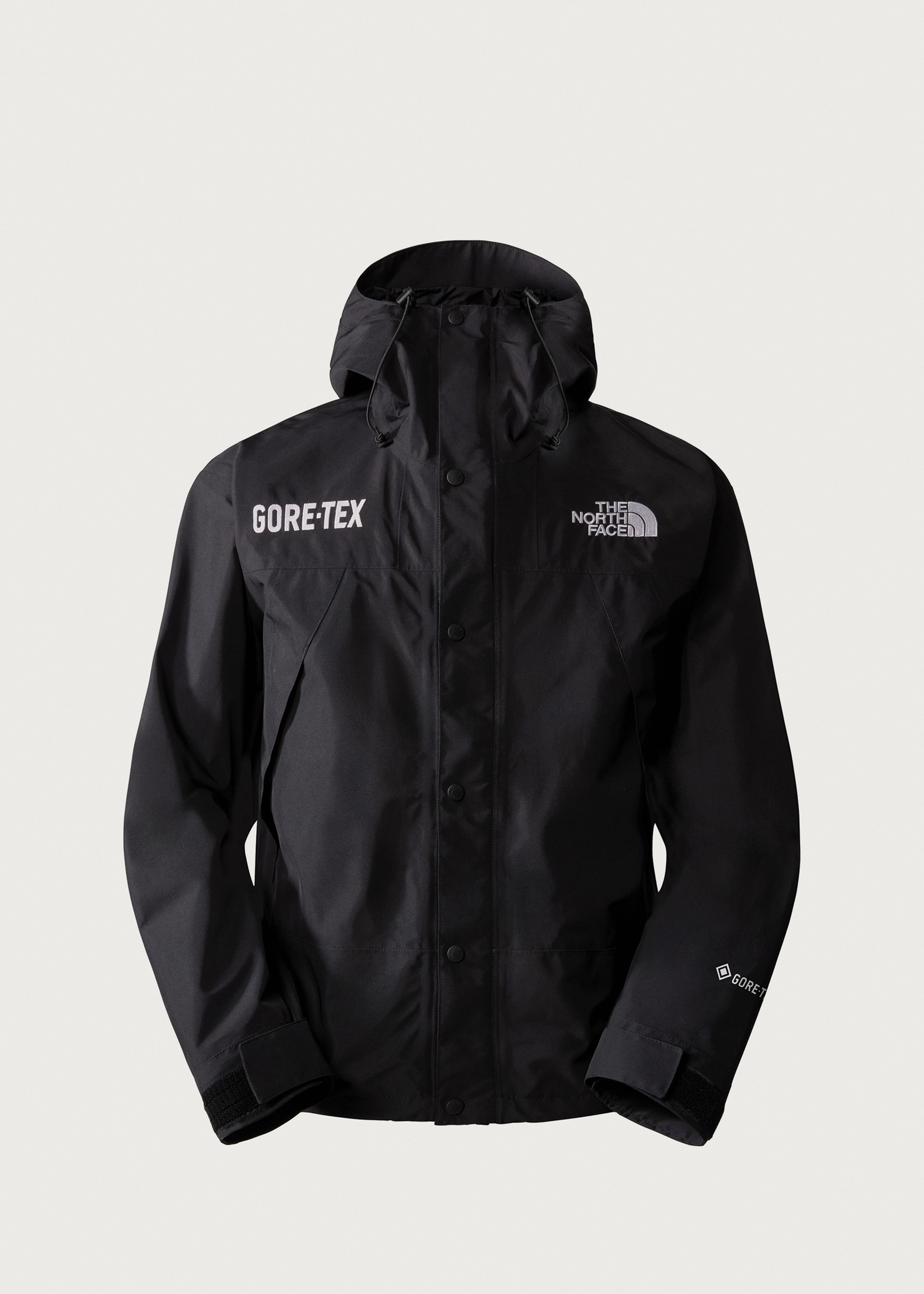 The North Face Mountain GORE-TEX Jacket