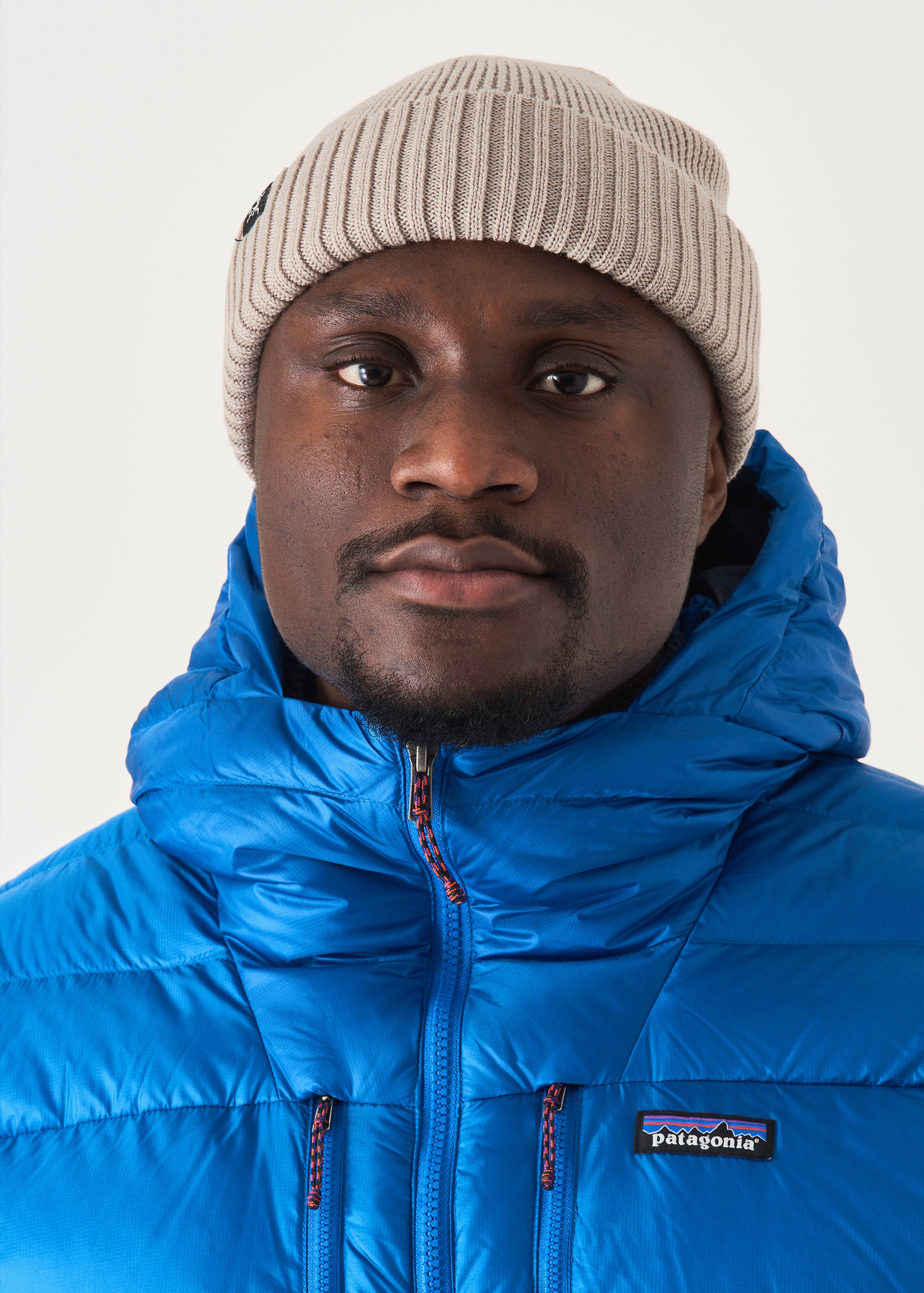 Patagonia Fitz Roy Down Hoodie