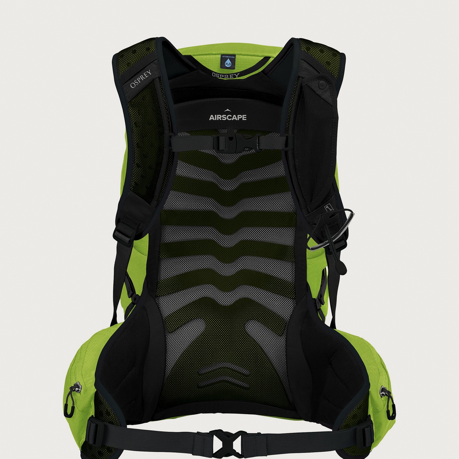 Image of Back panel 