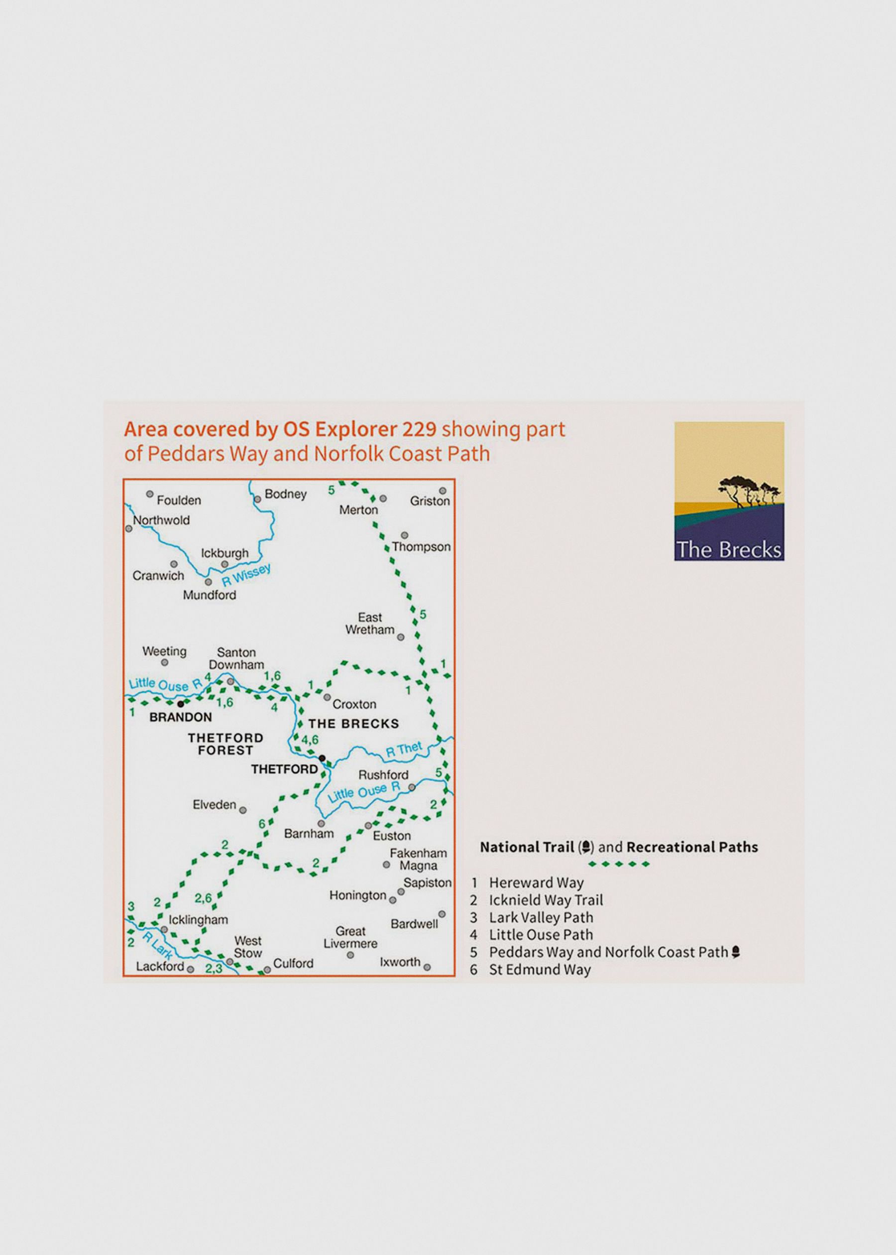 Image - 3 - Thetford Forest in The Brecks, Thetford & Brandon - OS Explorer 229 Map