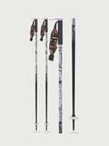 Pin Ski Poles