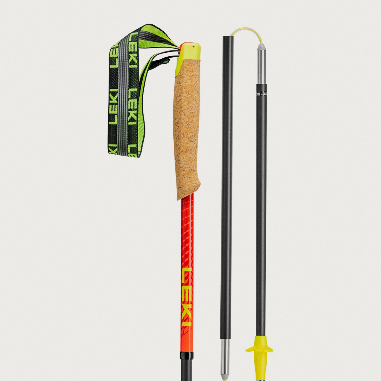 Image of Trail running poles (optional)