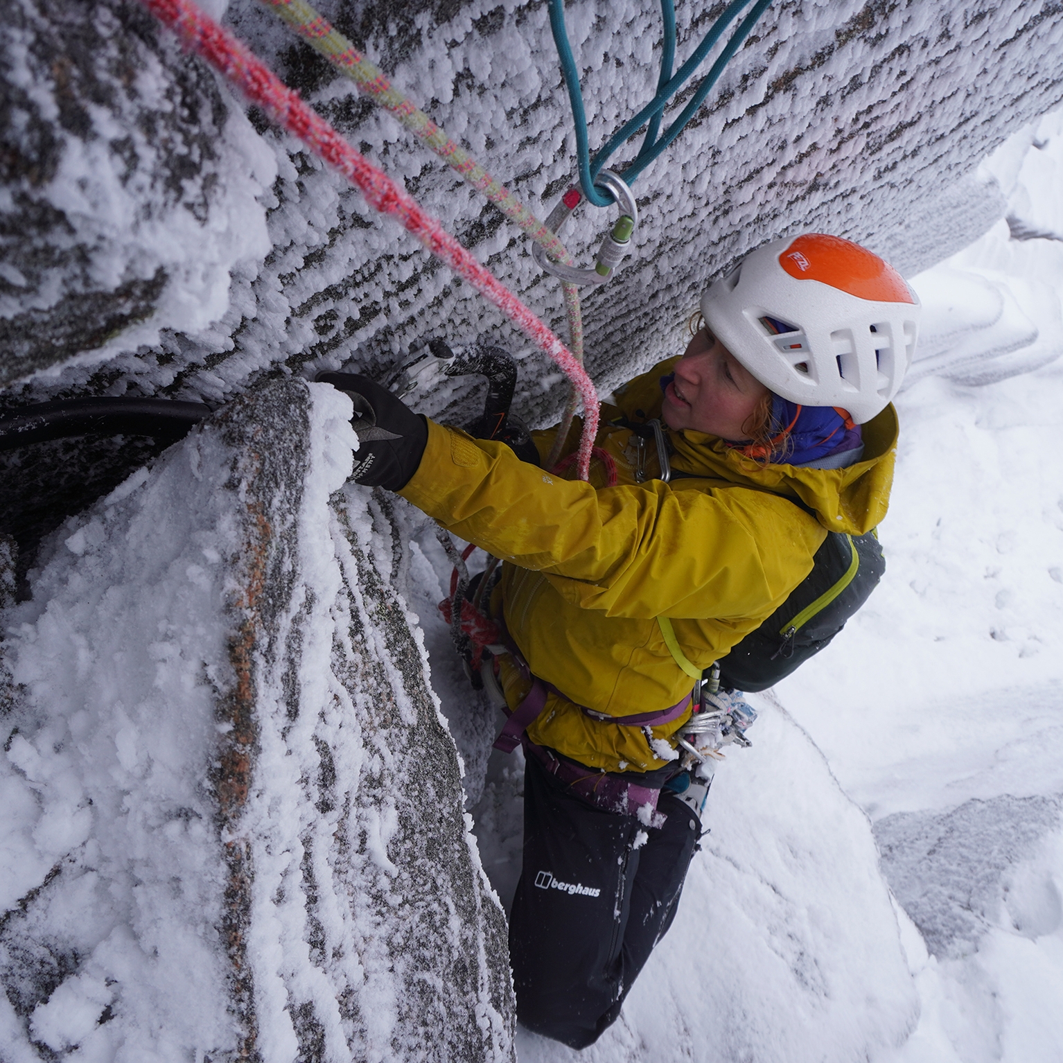 Image of Interview with Morag Skelton