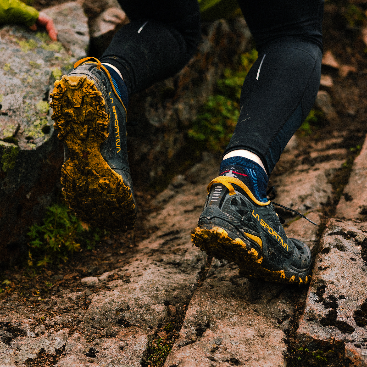 Image of Trail Running Shoe Buying Guide