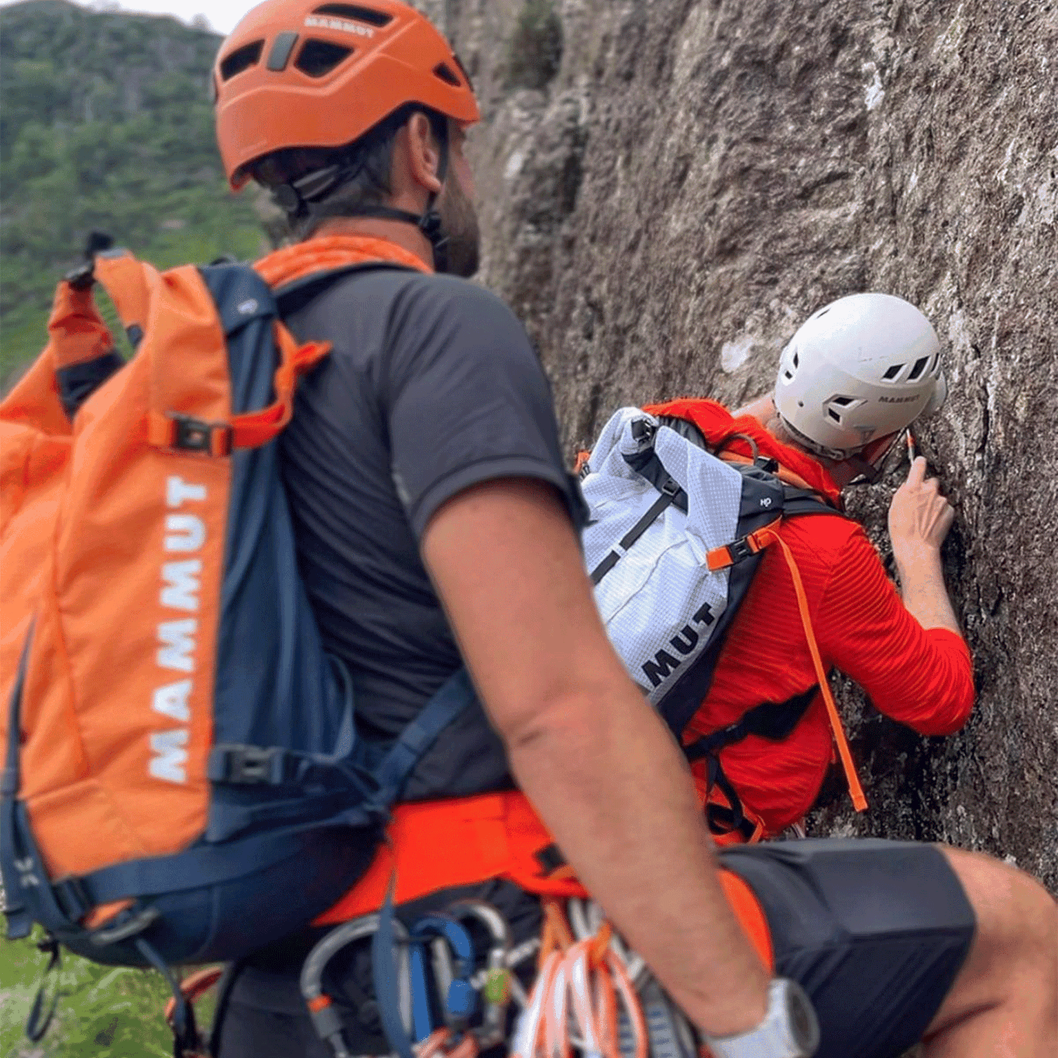Image of Mammut Mountain School