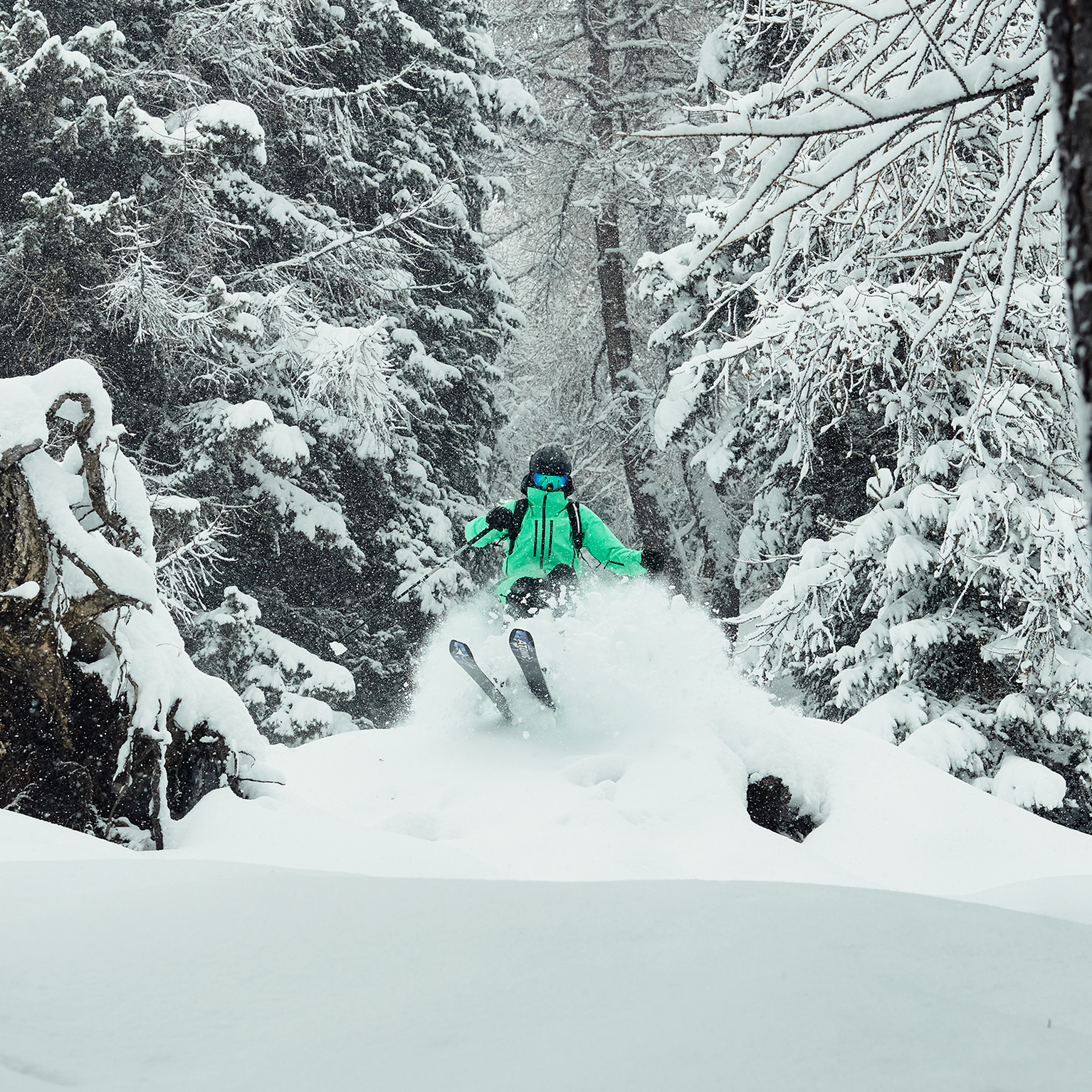 Image of The best ski boots of 2024