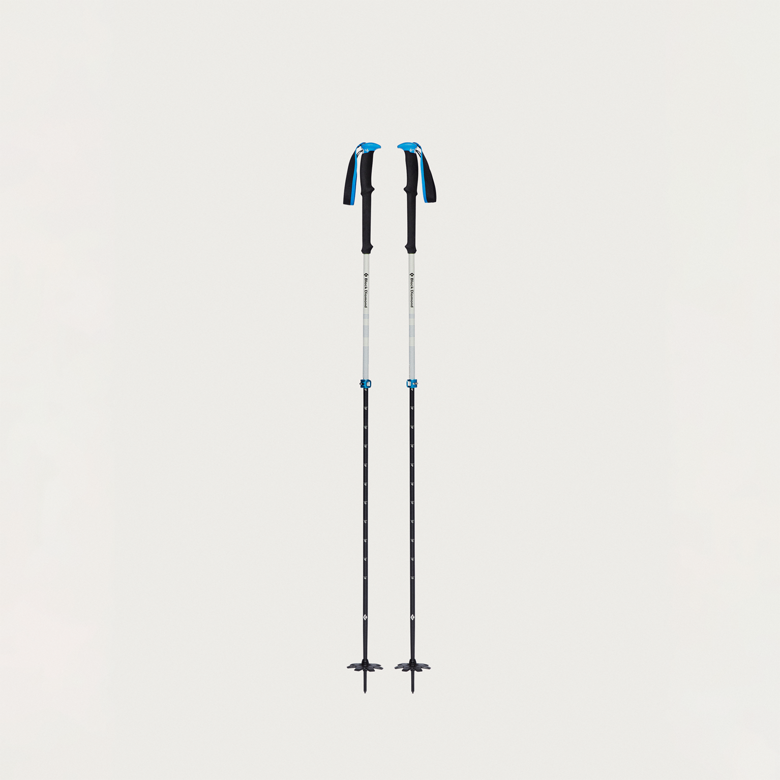 Image of Ski poles