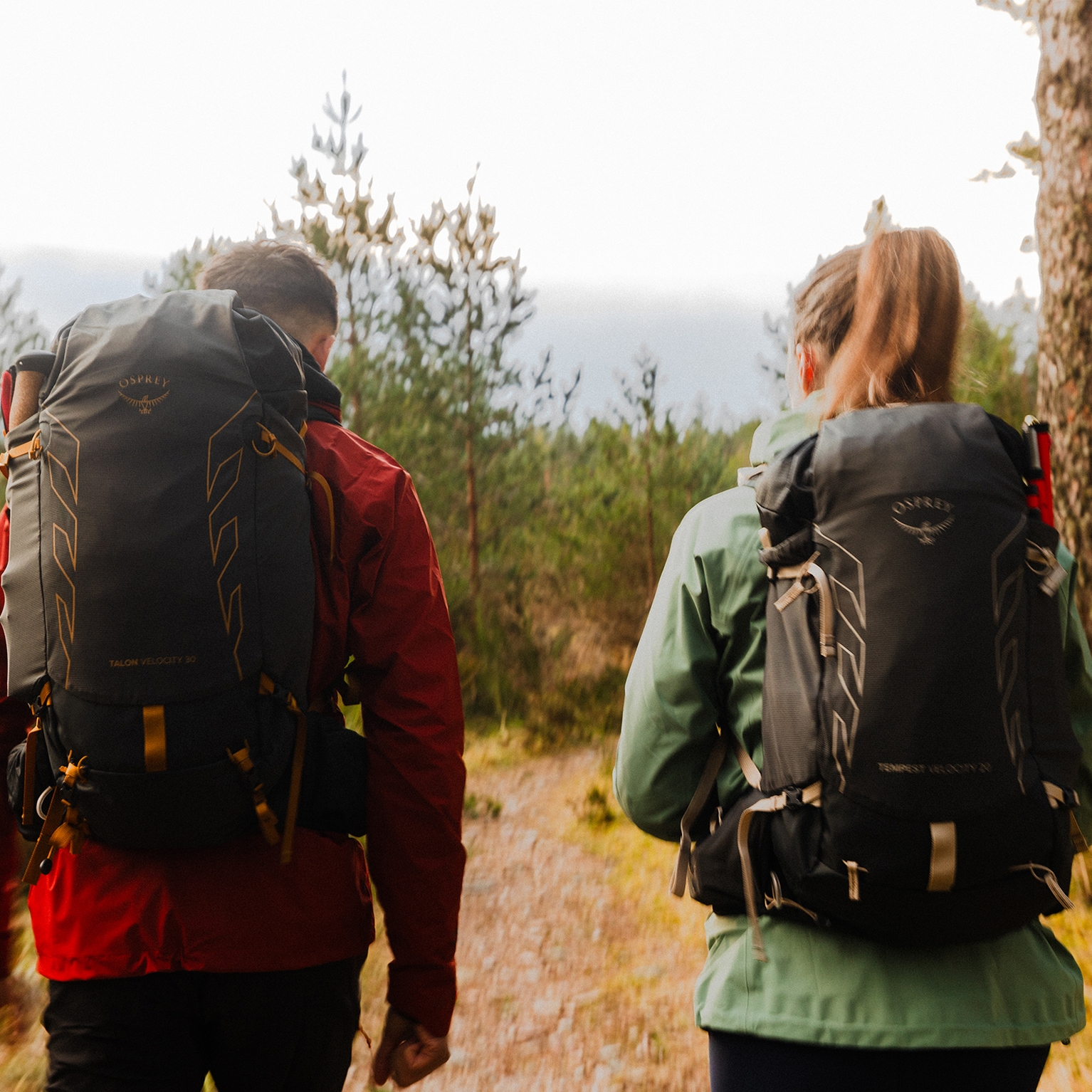 Image of How to Wash a Backpack
