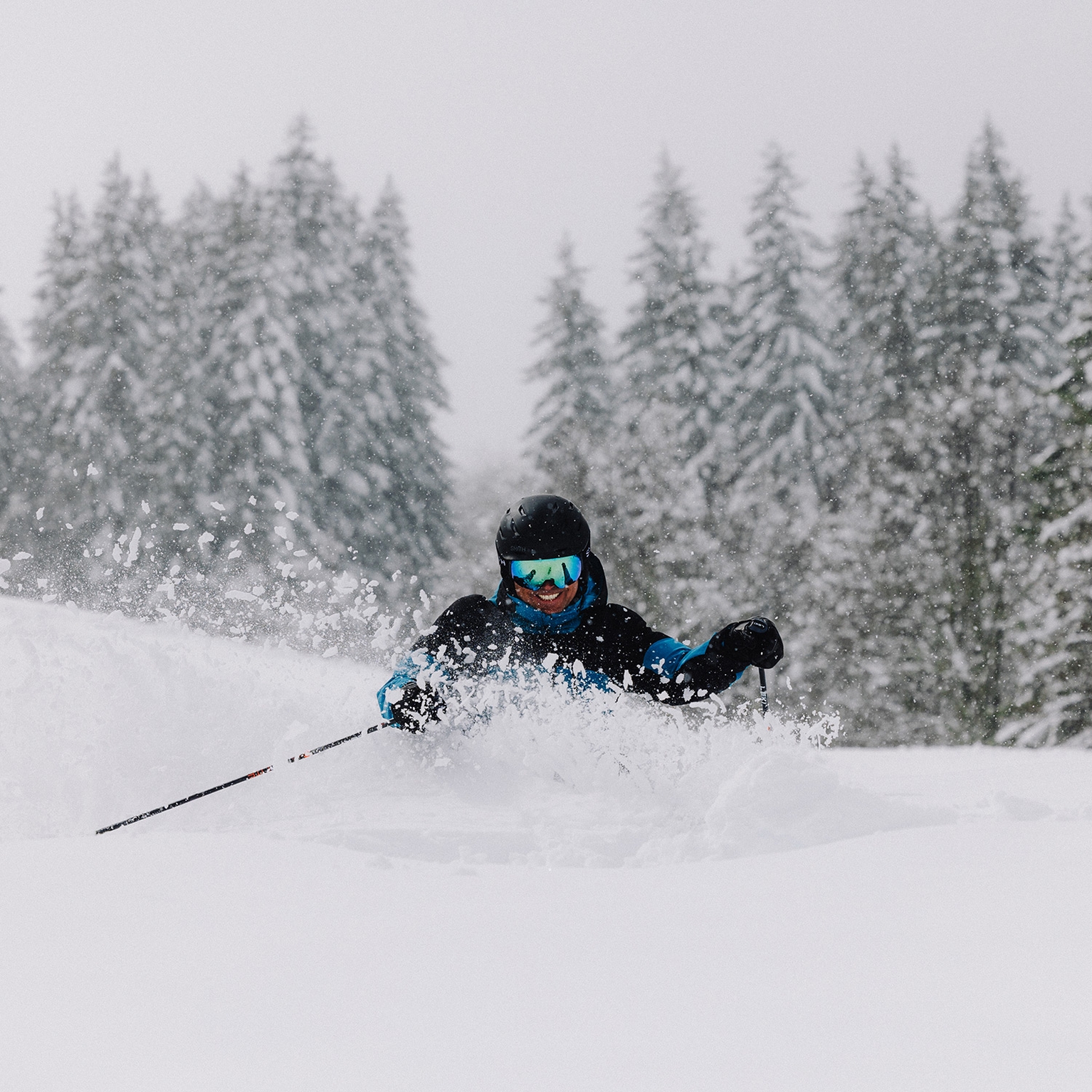 Image of Compatibility