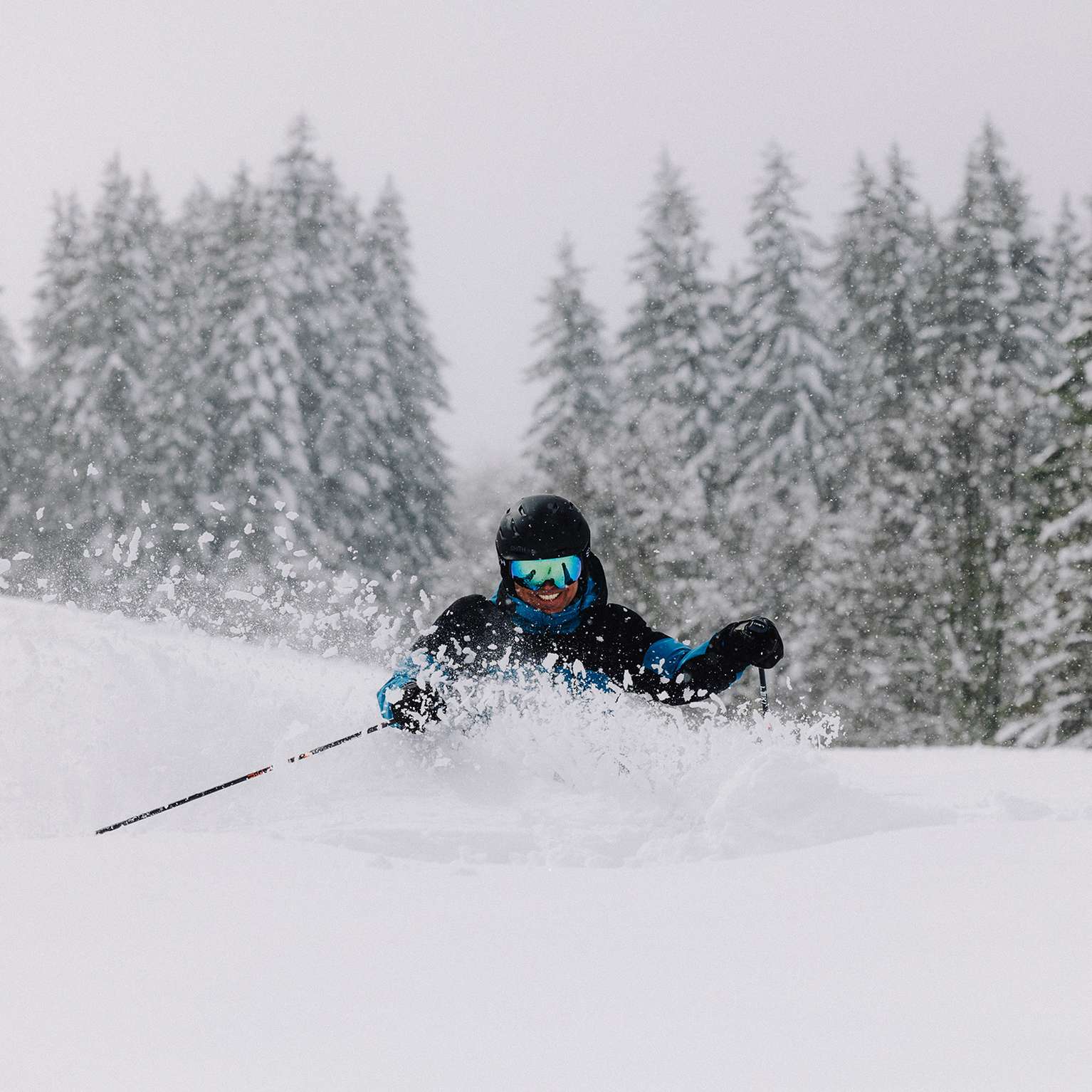 Image of Compatibility