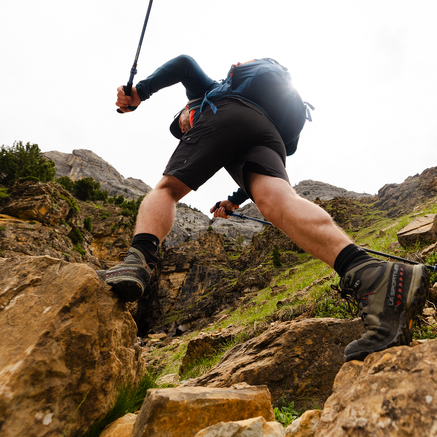 Image of Walking Poles Buying Guide