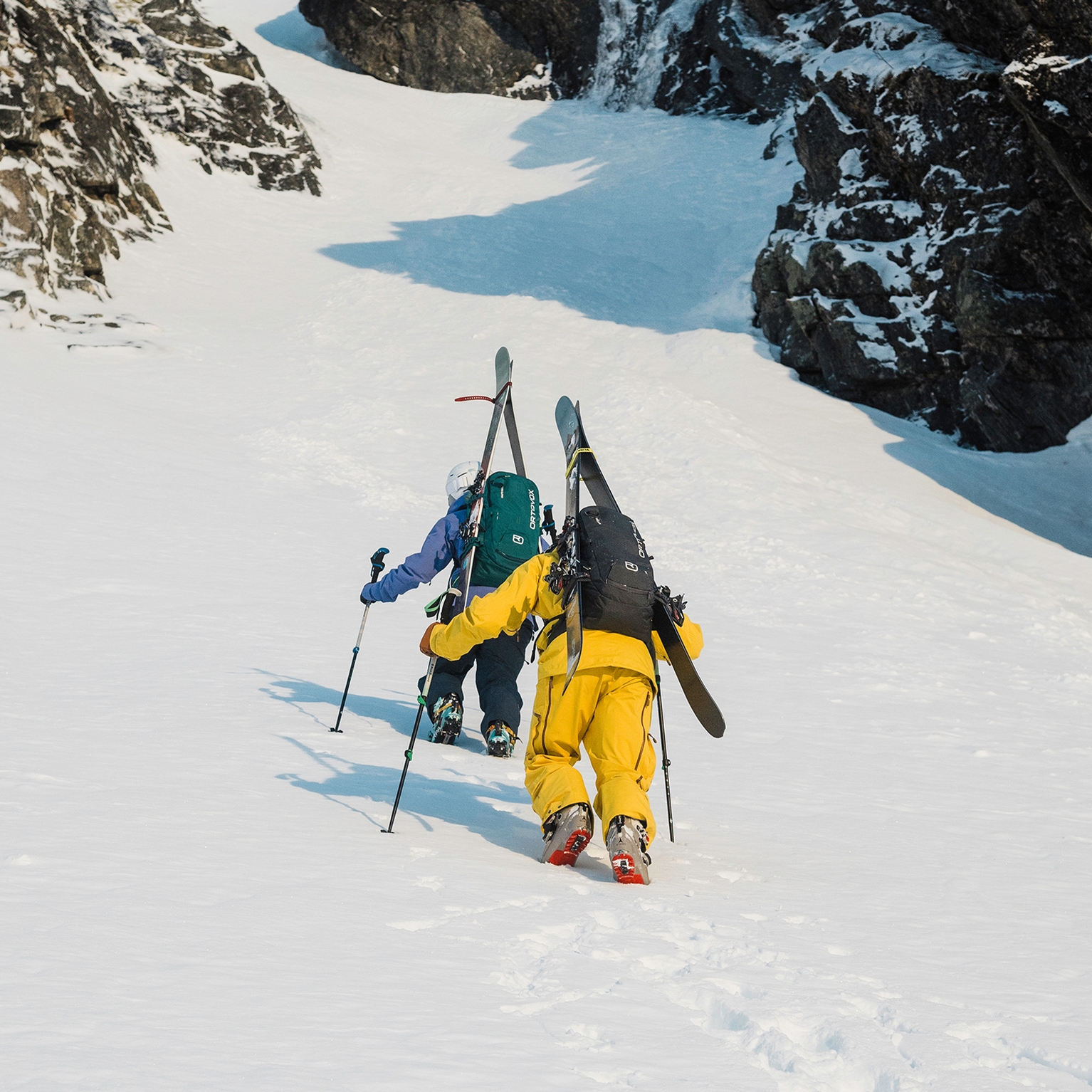 Image of Avalanche Airbag Backpack Buying Guide