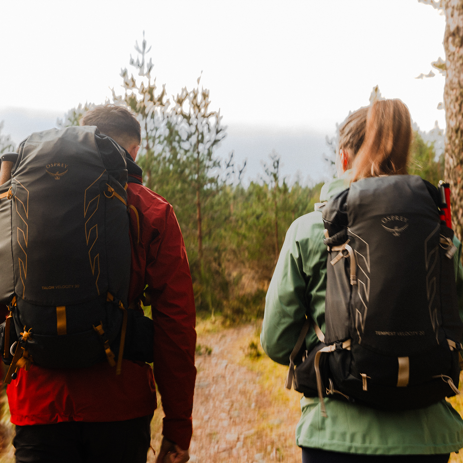 Image of Backpack Buying Guide