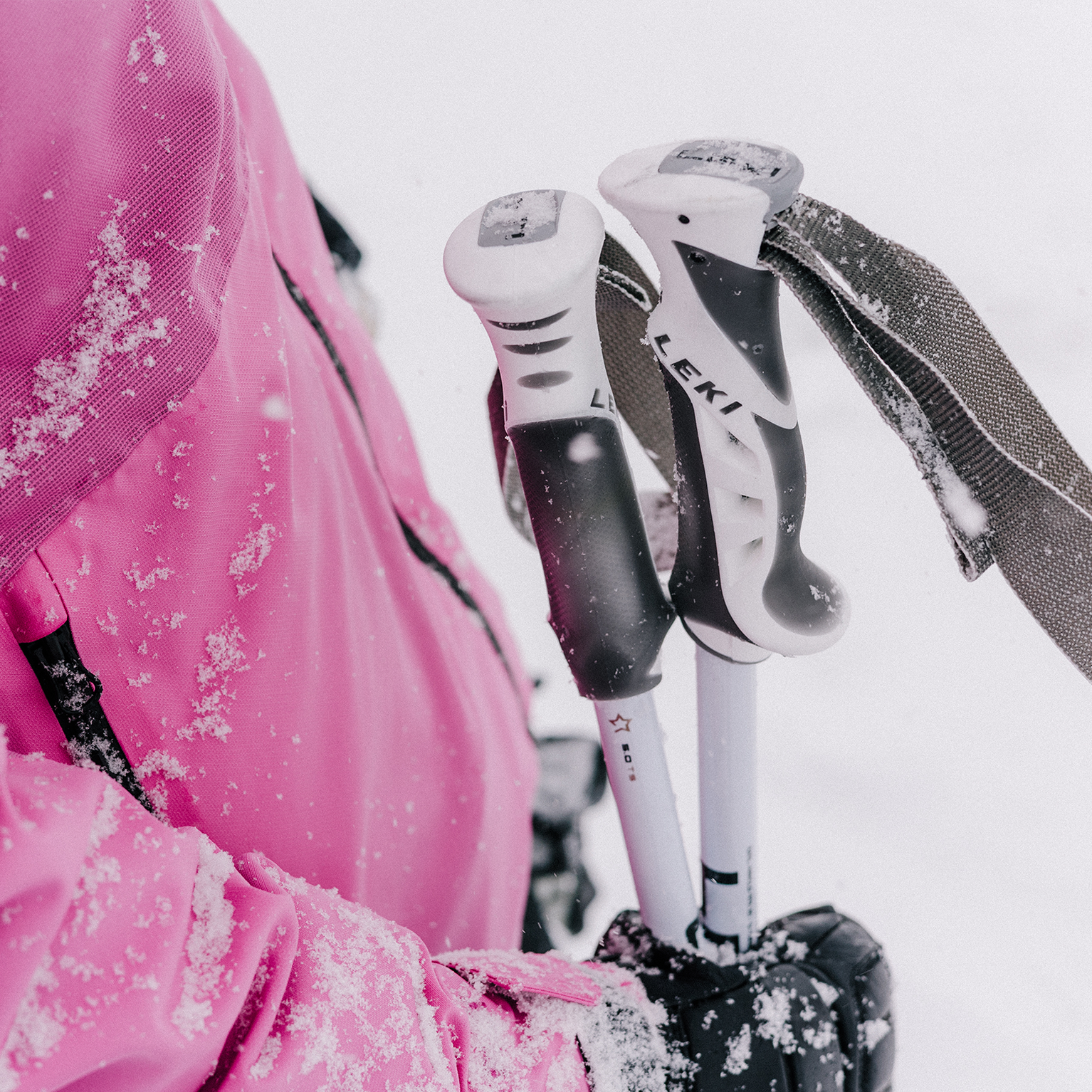 Image of Ski Poles Buying Guide