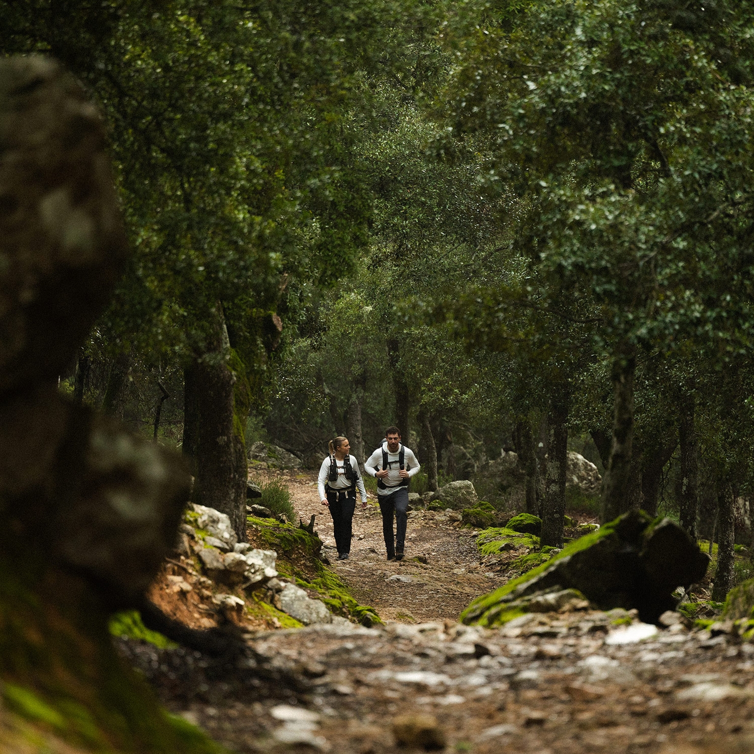 Image of The 6 Best Multi-Day Hikes in Europe