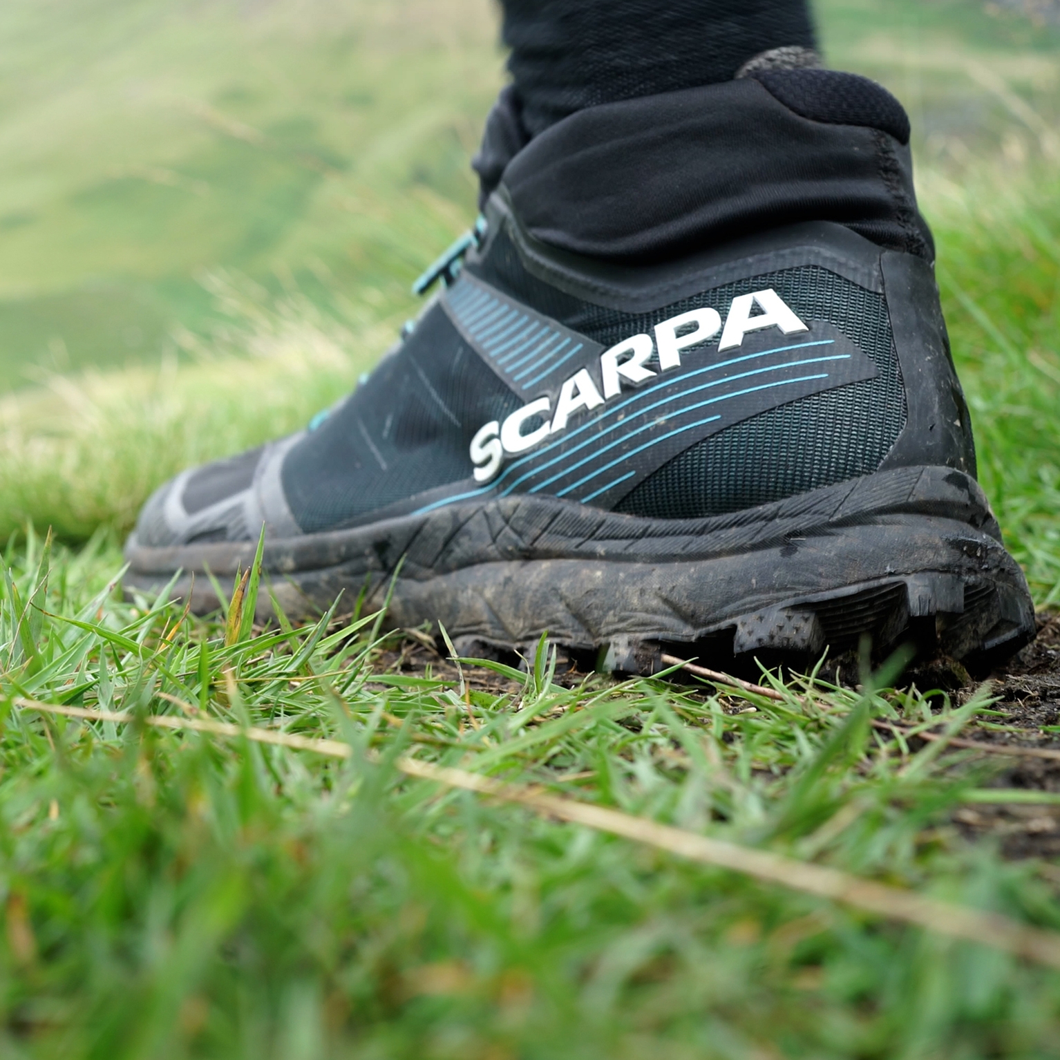 Image of Scarpa spin sp trail running shoe review