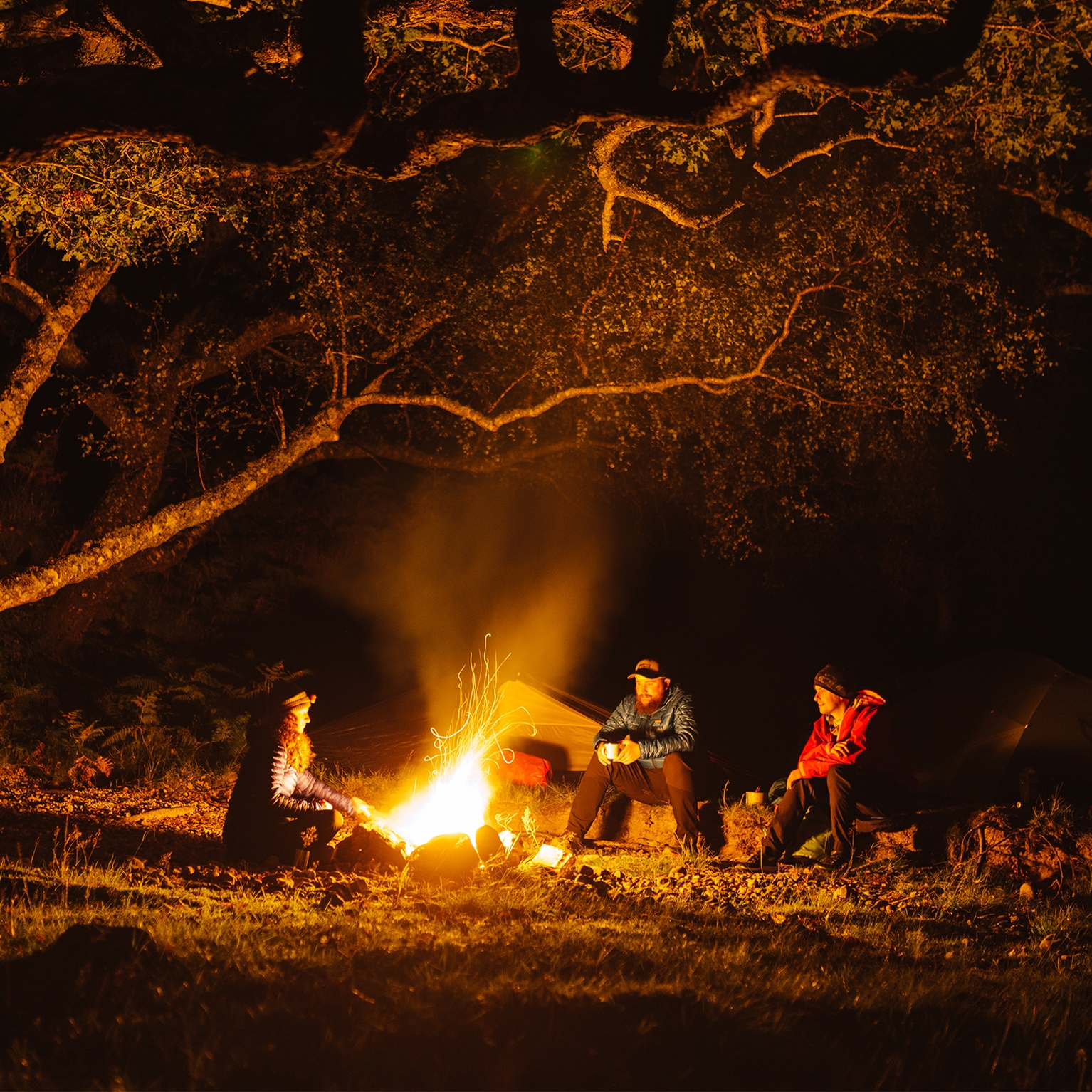 Image of Everything you need to know about campfires