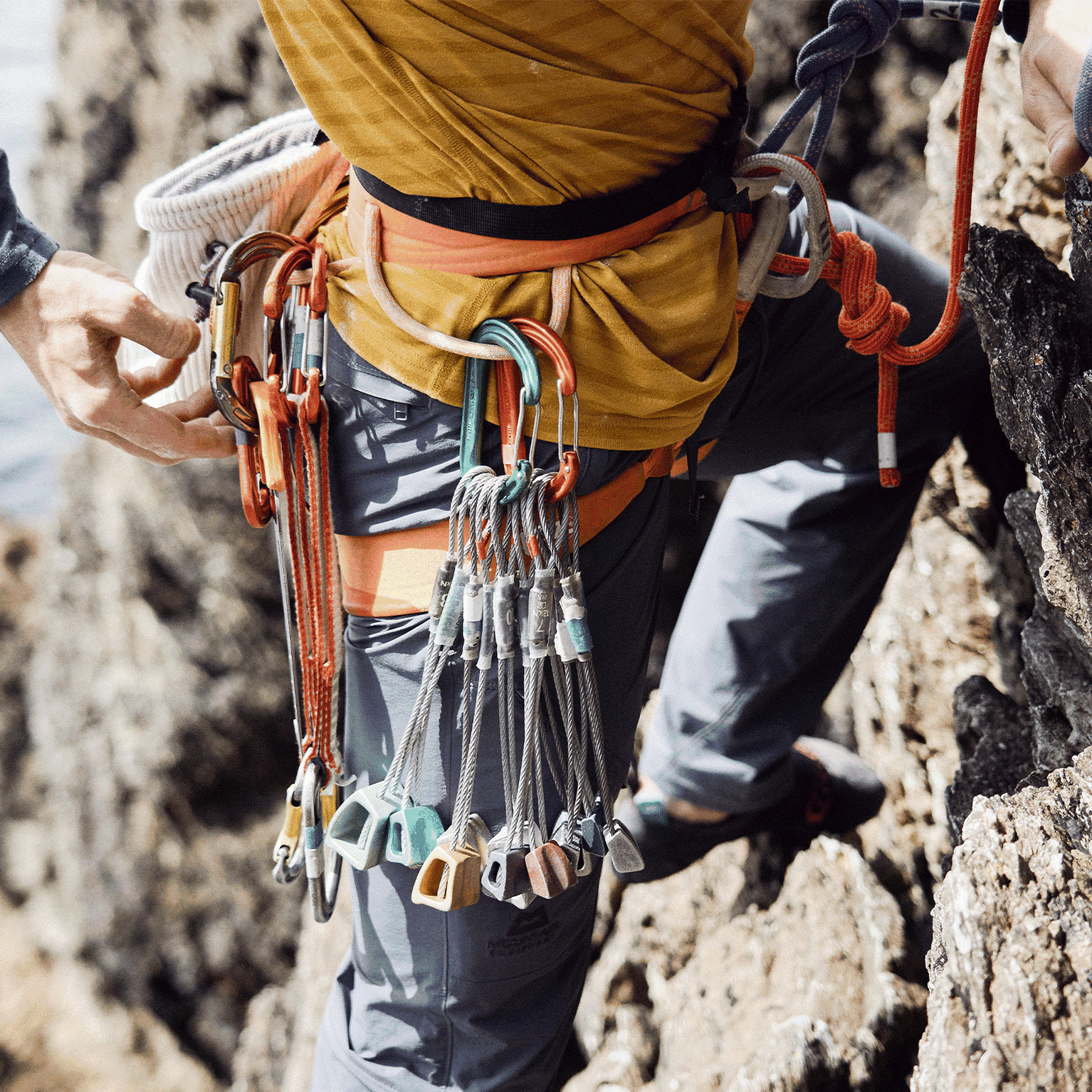 Image of When To Replace Your Climbing Harness