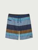 Wavefarer 19" Board Shorts