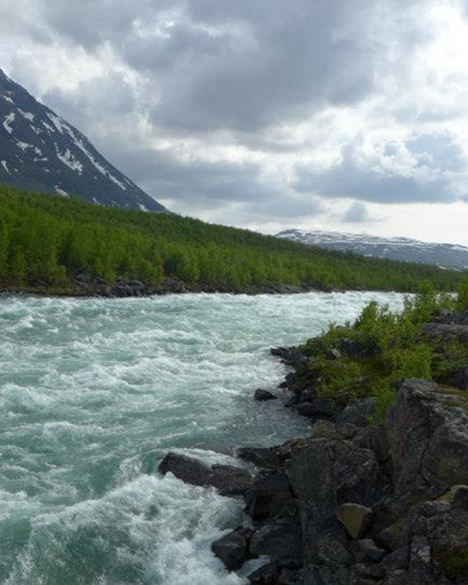 Rushing mountain river flanked by rocky banks and greenery, under a cloudy sky with snow-capped peaks in the distance.