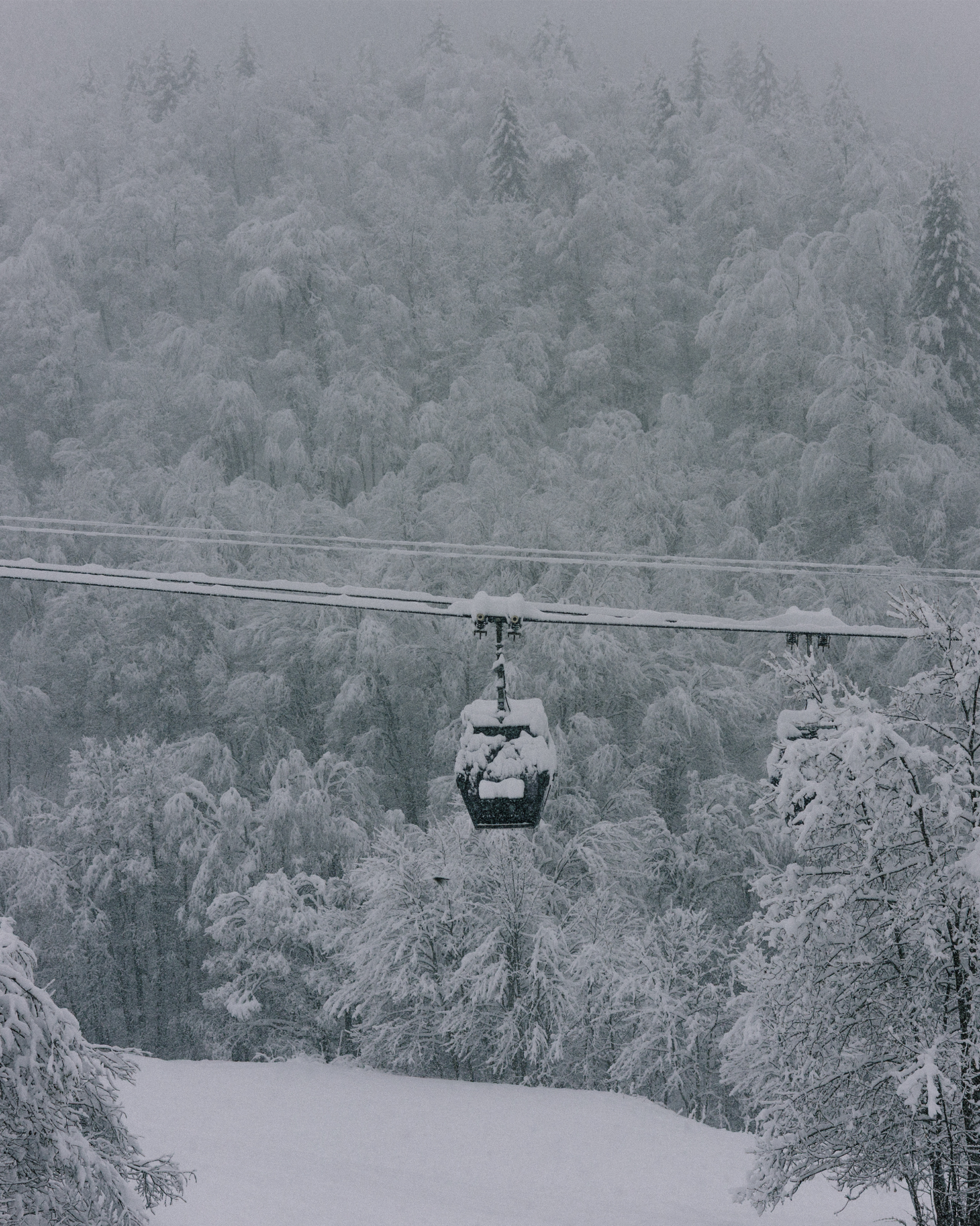 Snow-covered gondola suspended above a dense, frosted forest and quiet winter slope.