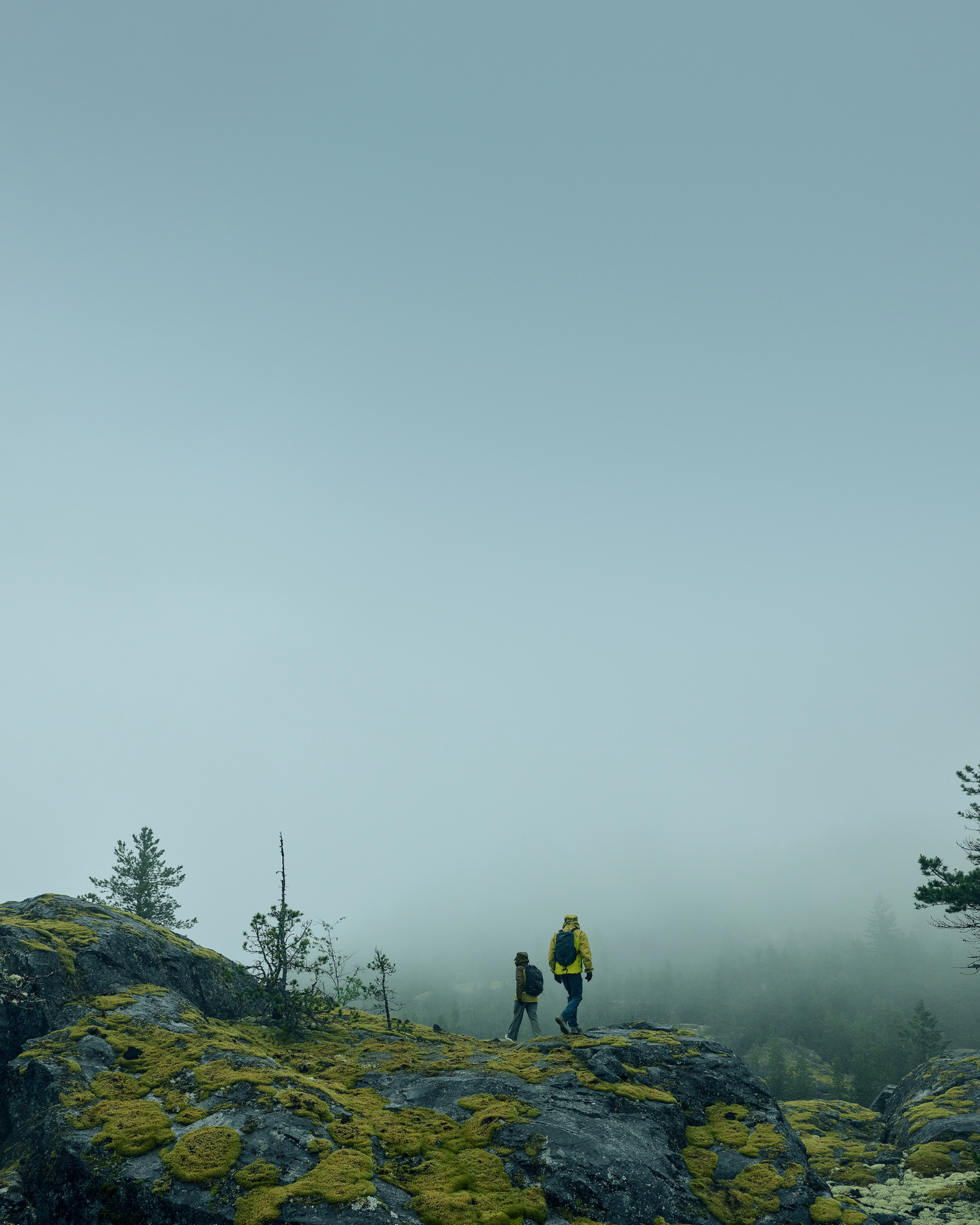 Two hikers with backpacks traverse a moss-covered rocky landscape under a foggy sky, surrounded by sparse trees.