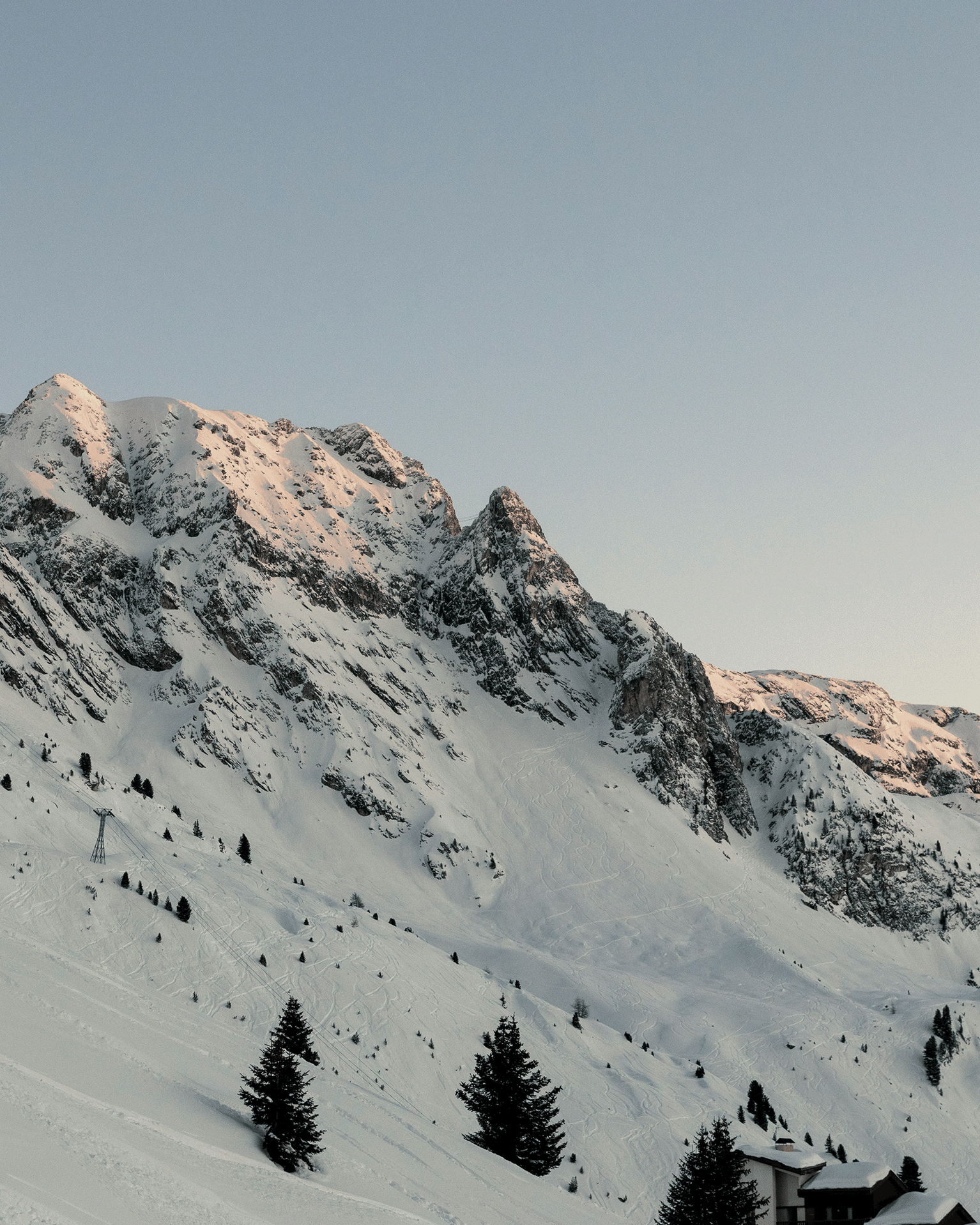 Snow-covered mountains at sunset with pine trees in the foreground, under a clear sky.