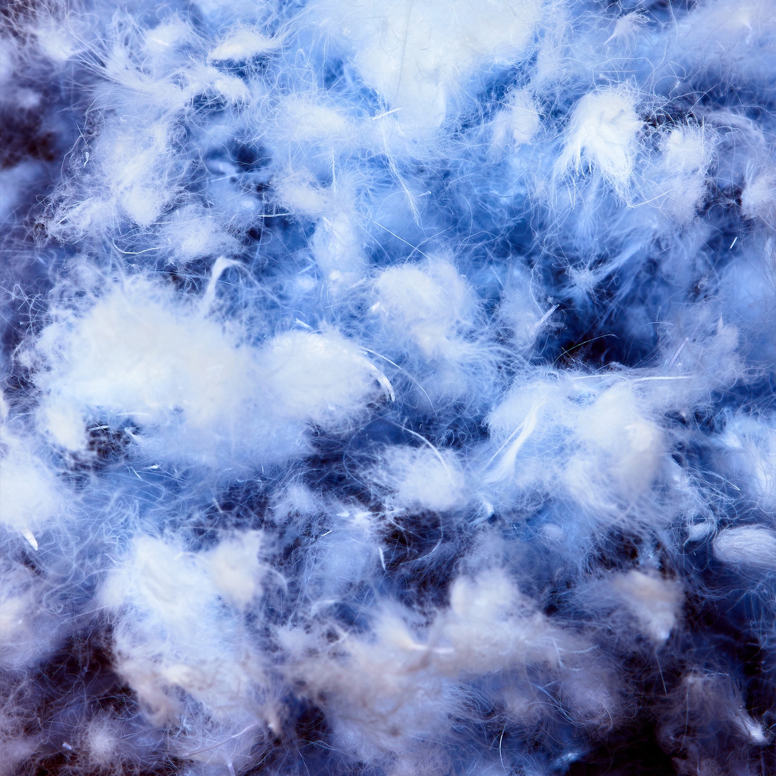Image of Insulation