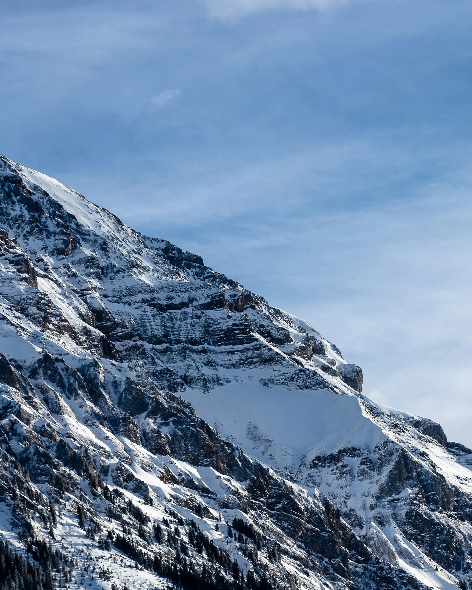 Snow-covered mountain peak under a clear blue sky, with rugged rock faces and scattered pine trees at the base.