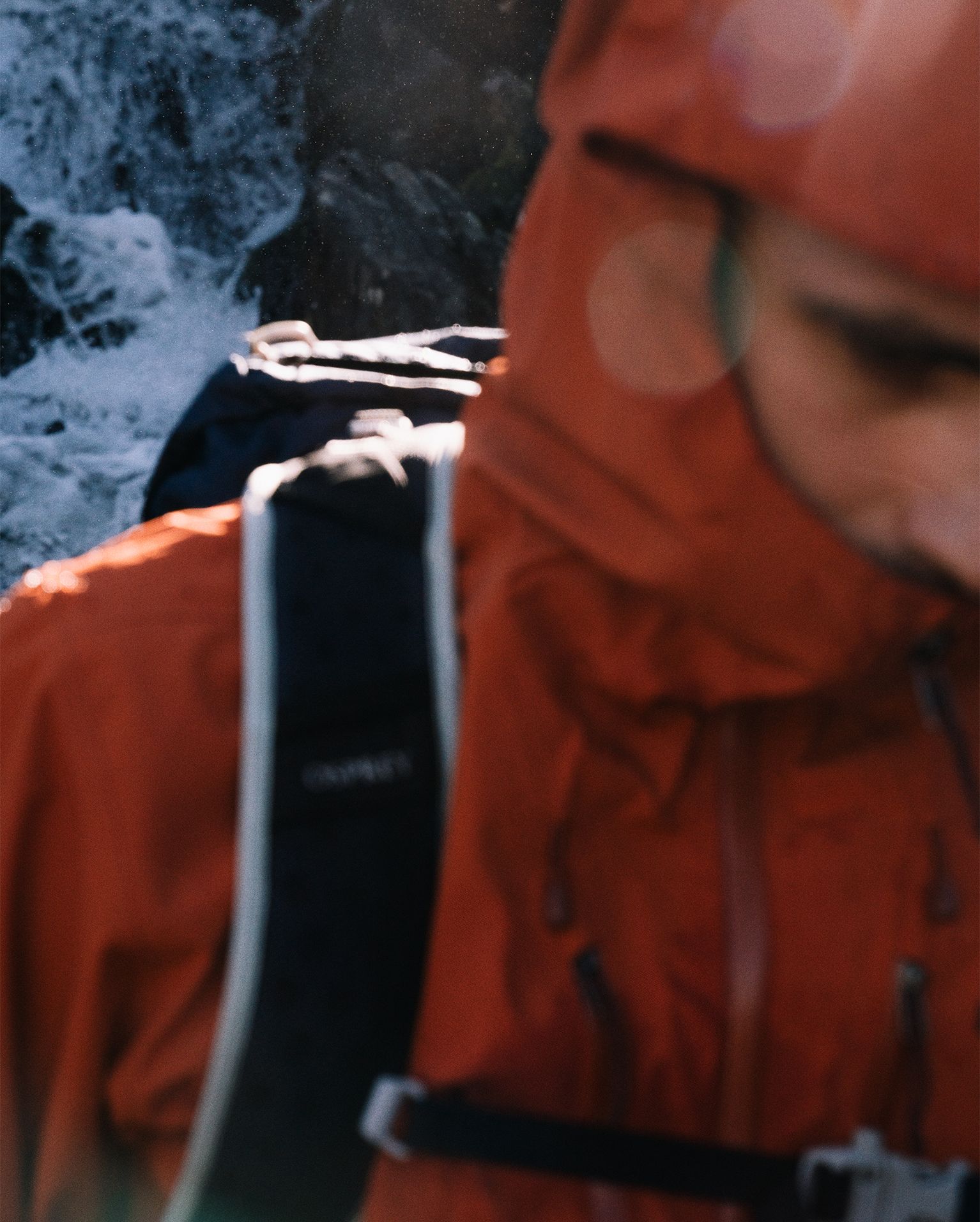 THIS SHOULD SHOW IN HTML