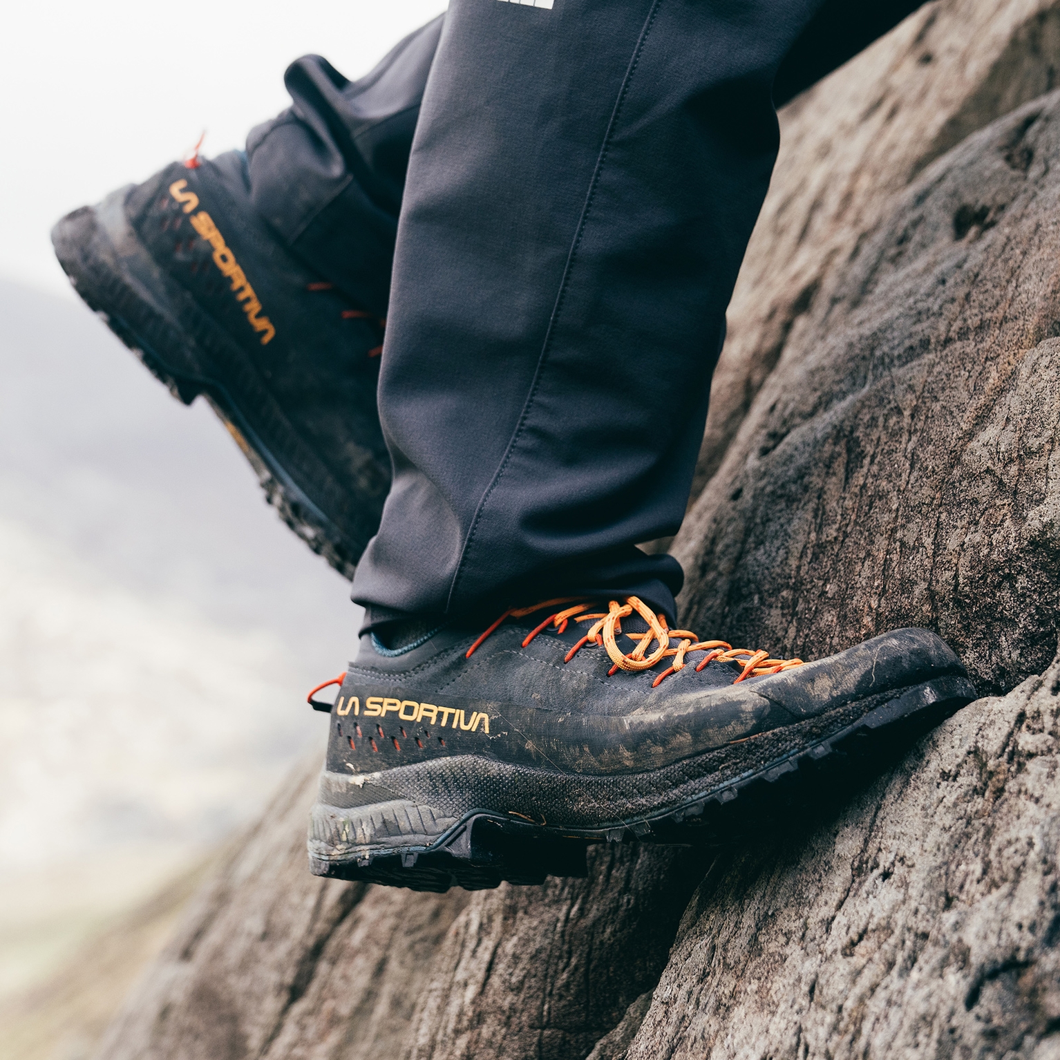 Image of A beginner's guide to scrambling