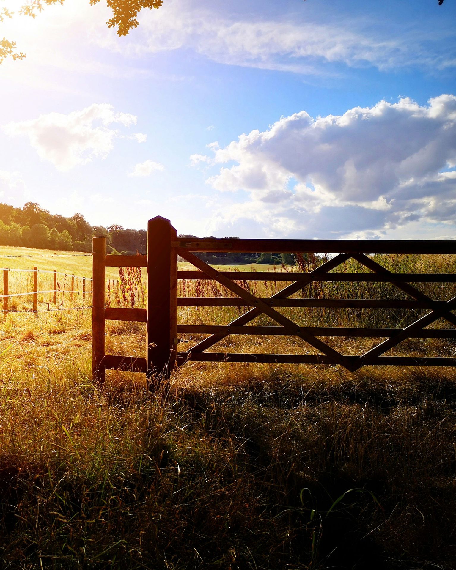 scenic photo of a fence in a field with blue sky and white fluffy clouds in the background
