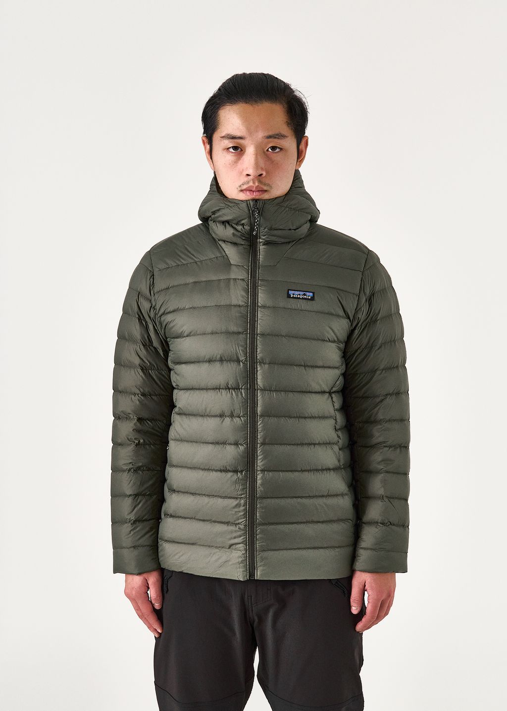 Patagonia Down Sweater Hoody