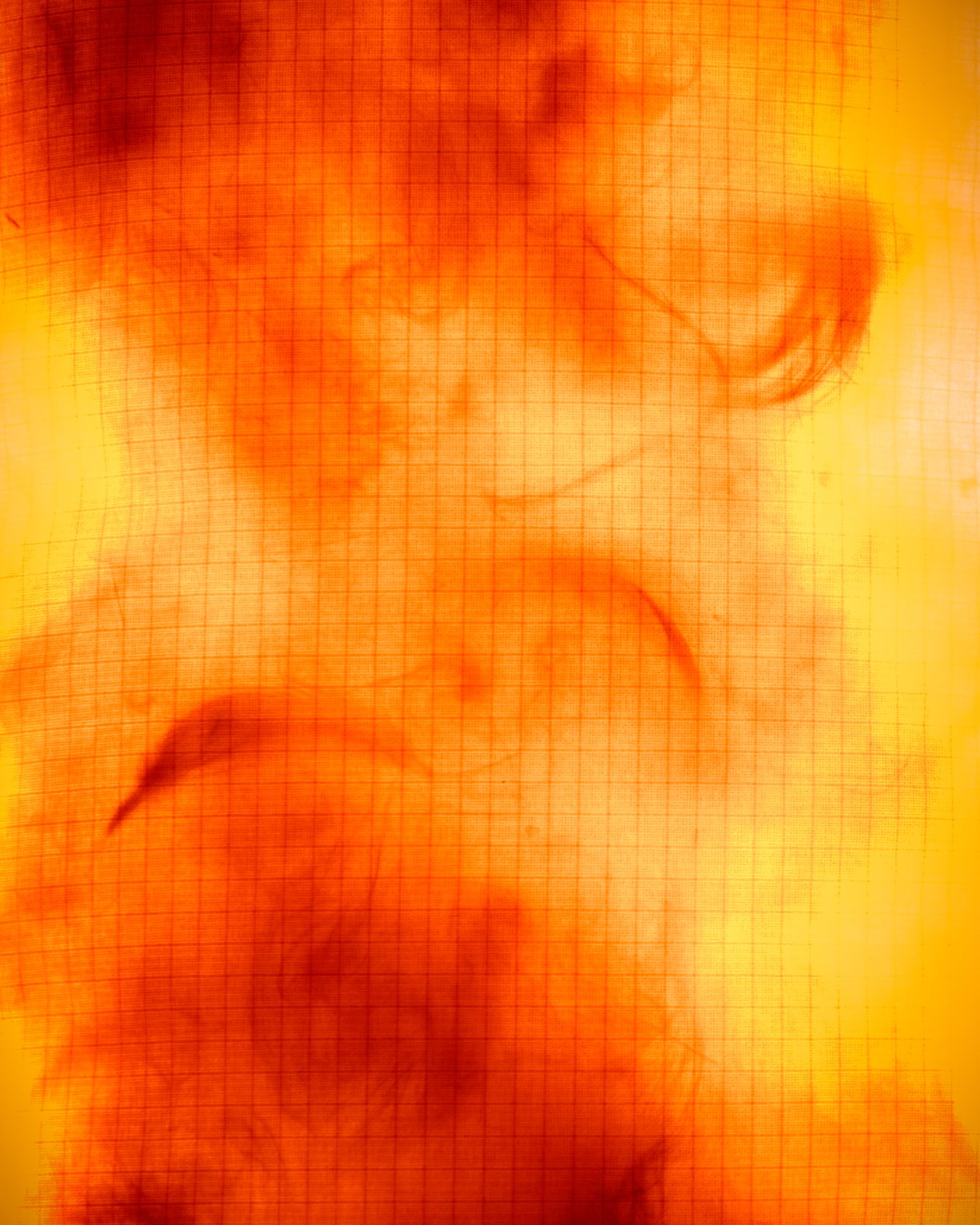 close up image of down insulation