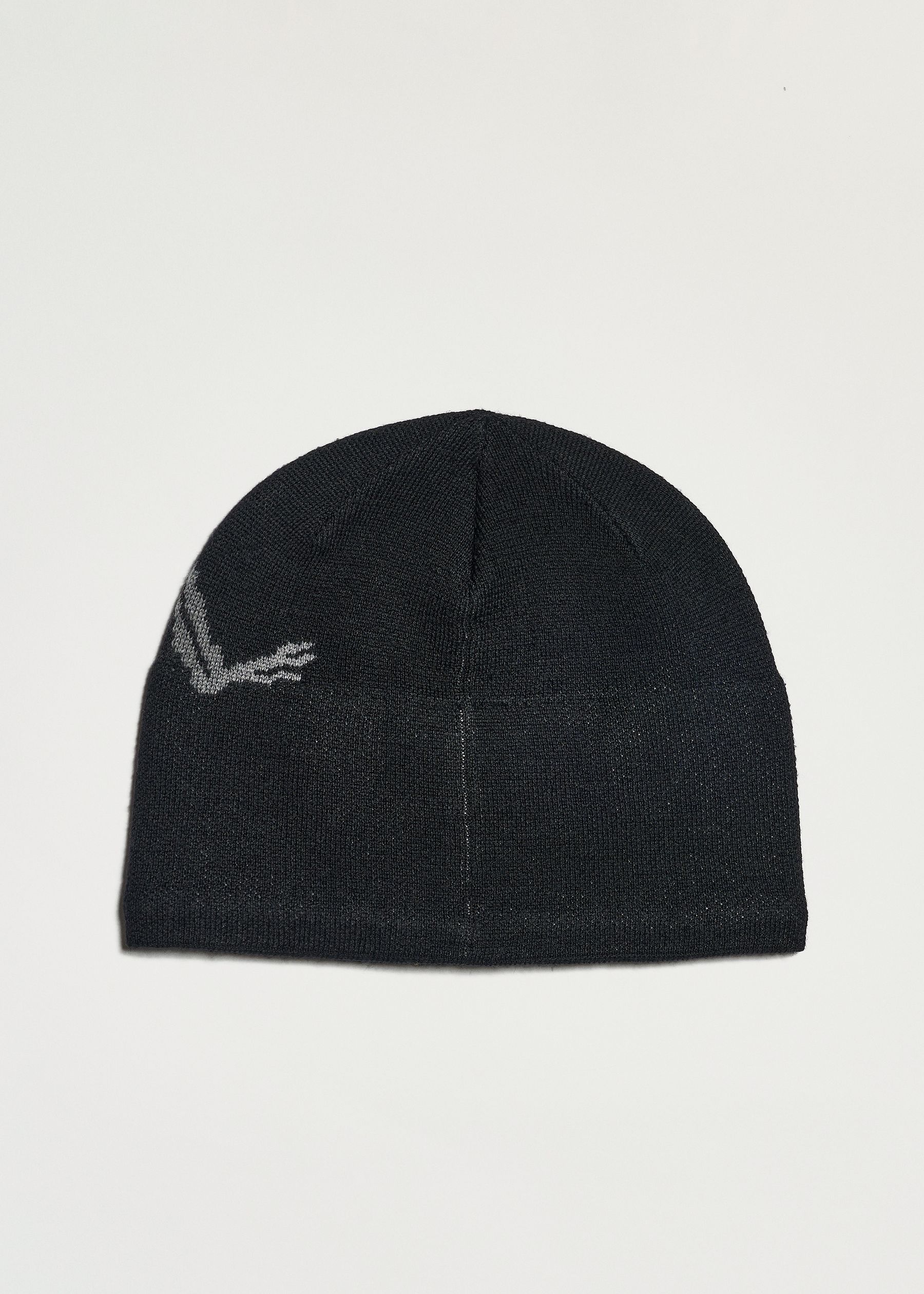 Arc'teryx Bird Head Toque