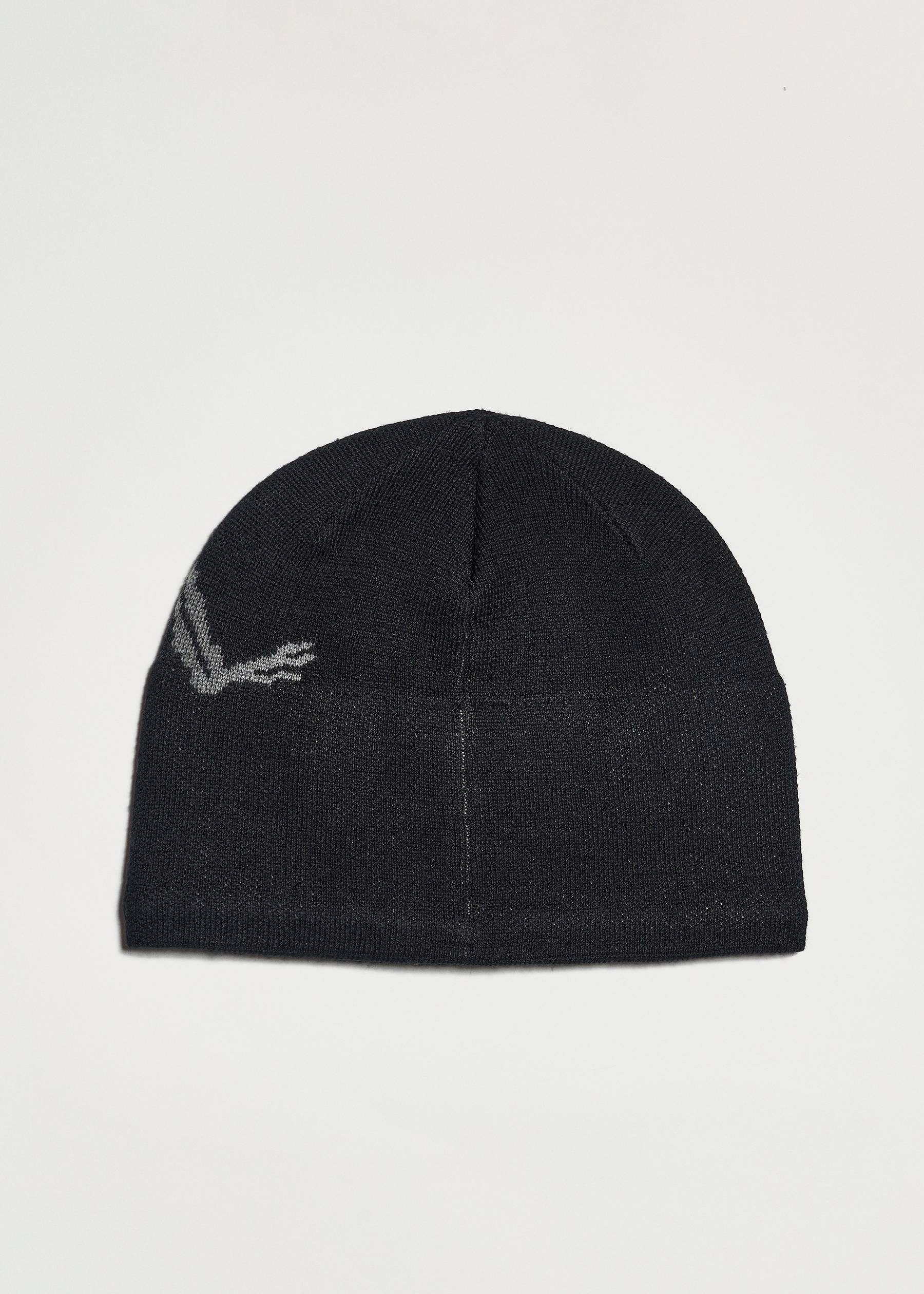 Arc'teryx Bird Head Toque