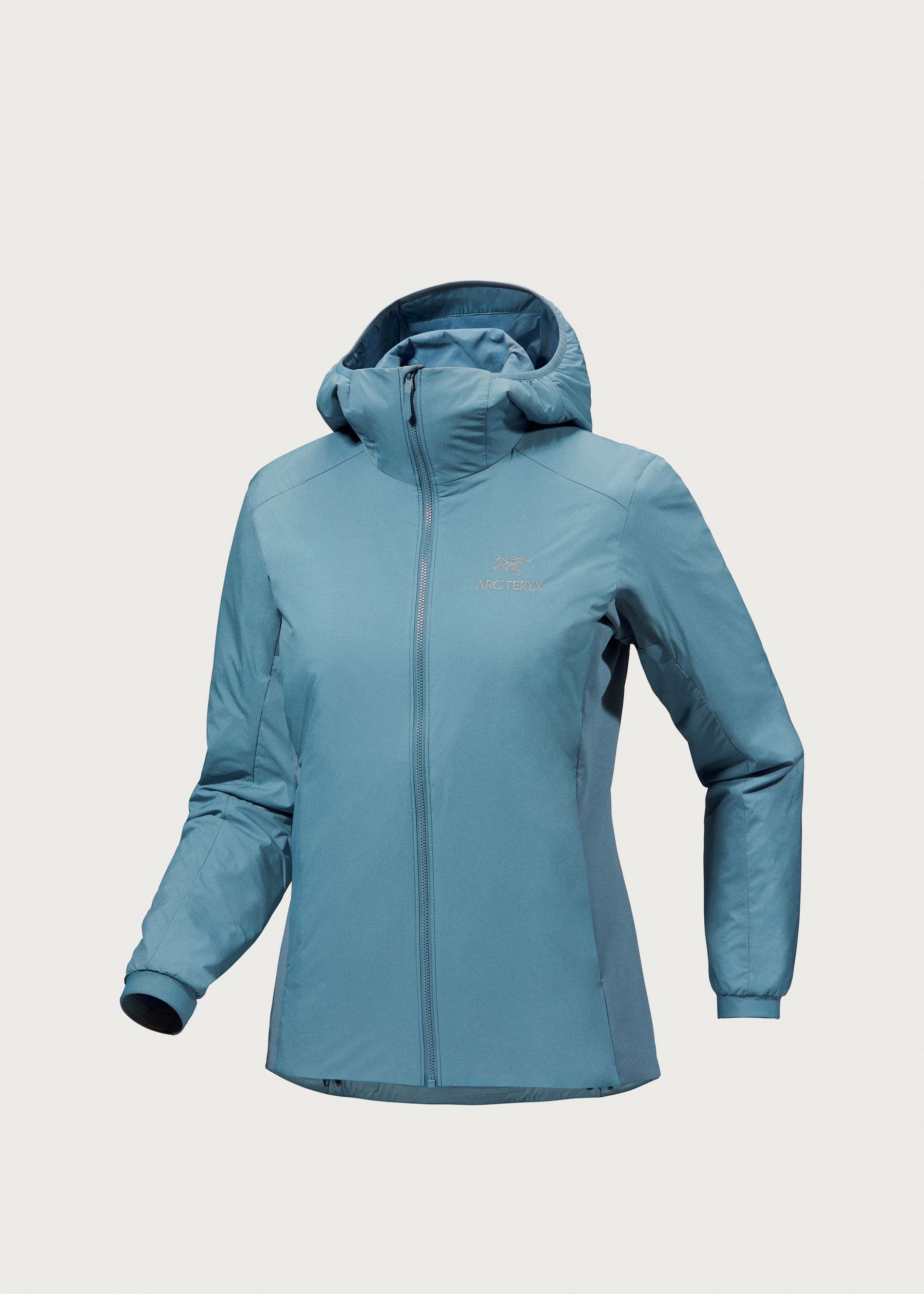 Image - 1 - Atom Hoodie