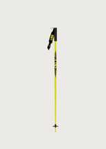 Pin Ski Poles