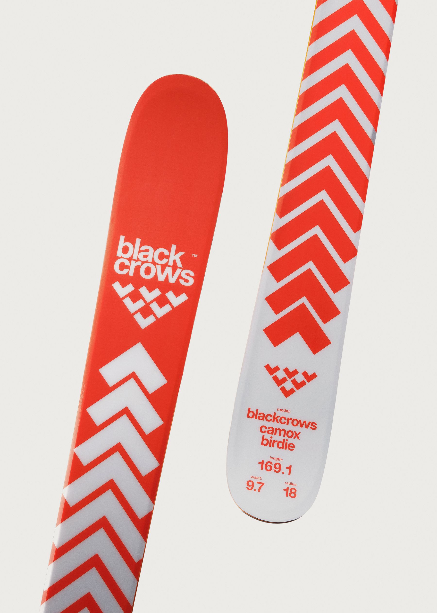 Image - 3 - Camox Birdie Skis