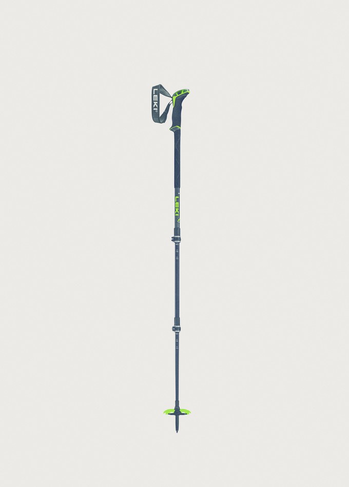 Leki World Cup Closed Gate Guard